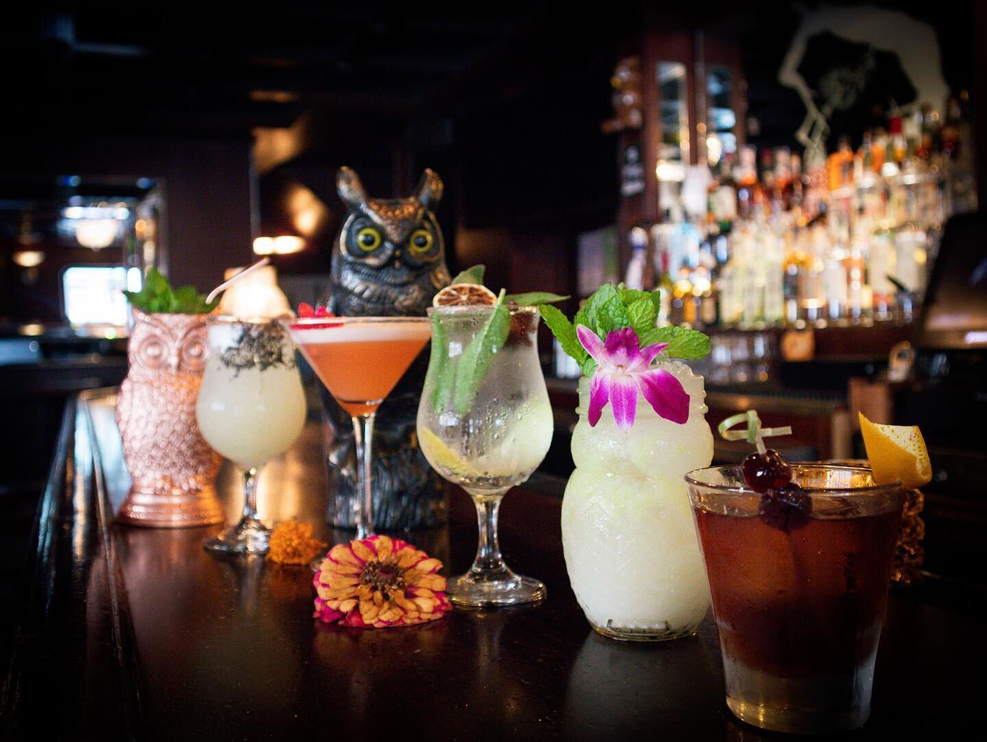 Night Owls, unite! 🦉🌙 
Come stir up some magic and mystery at our owl-themed bar! #OwlNightLong Open today until 2am!
&bull;
&bull;
&bull;
#owltree #owl #owltheme #owlbar #cocktails #drinks #wine #beer #lounge #cocktaillounge #unionsquare #sanfranc