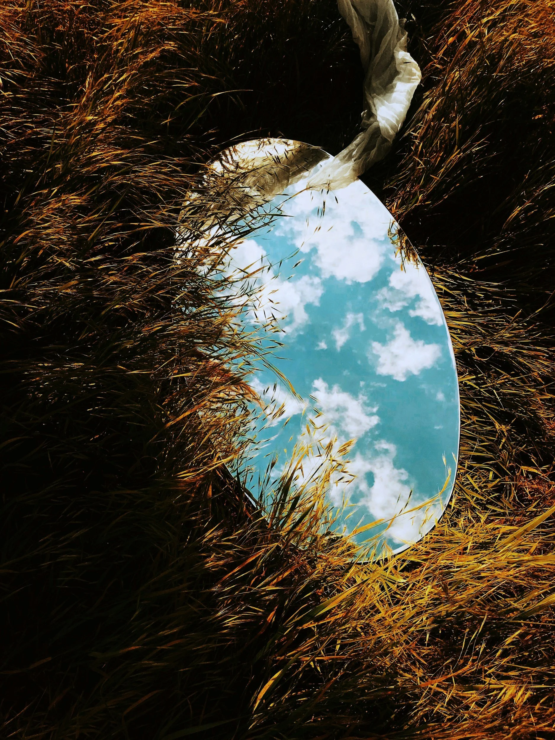 Truth #1: AI Is a Mirror, Not a Mind