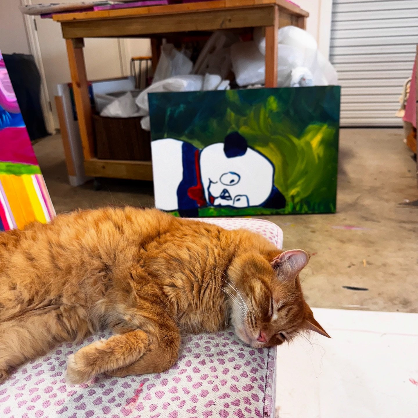 when life imitates art. i promise&hellip;the cat was not manipulated to mimic the snazzy panda&rsquo;s resting poz behind him. i&rsquo;m ready for a lie down myself. see ya round monday.