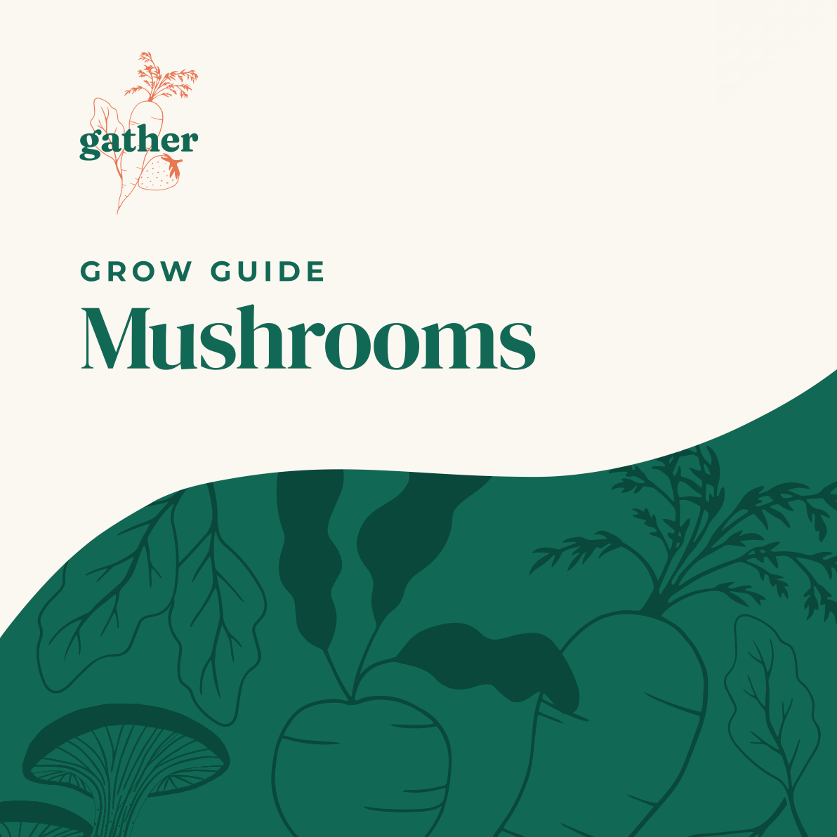 Gourmet Mushroom Grow Guide
