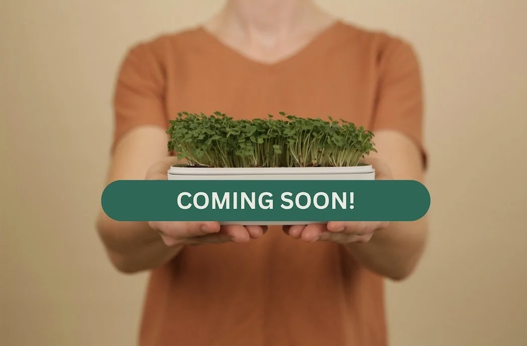The Microgreen Superfood Grower Bundle