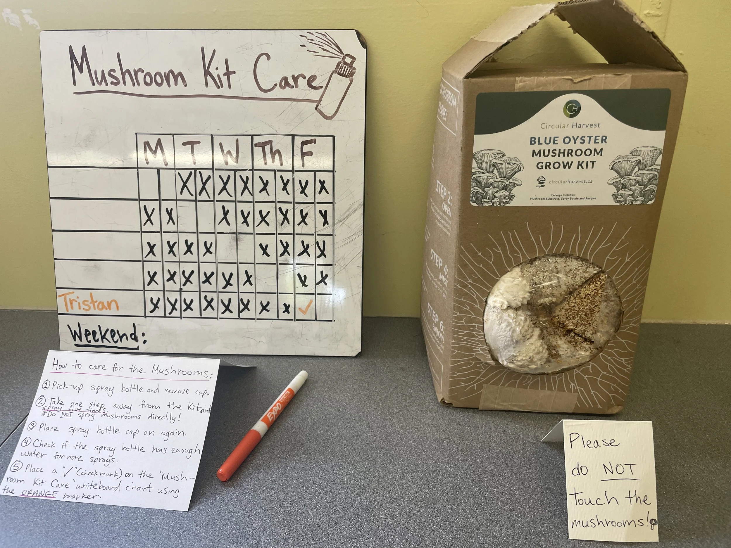 Mushroom Growing Lesson Plan