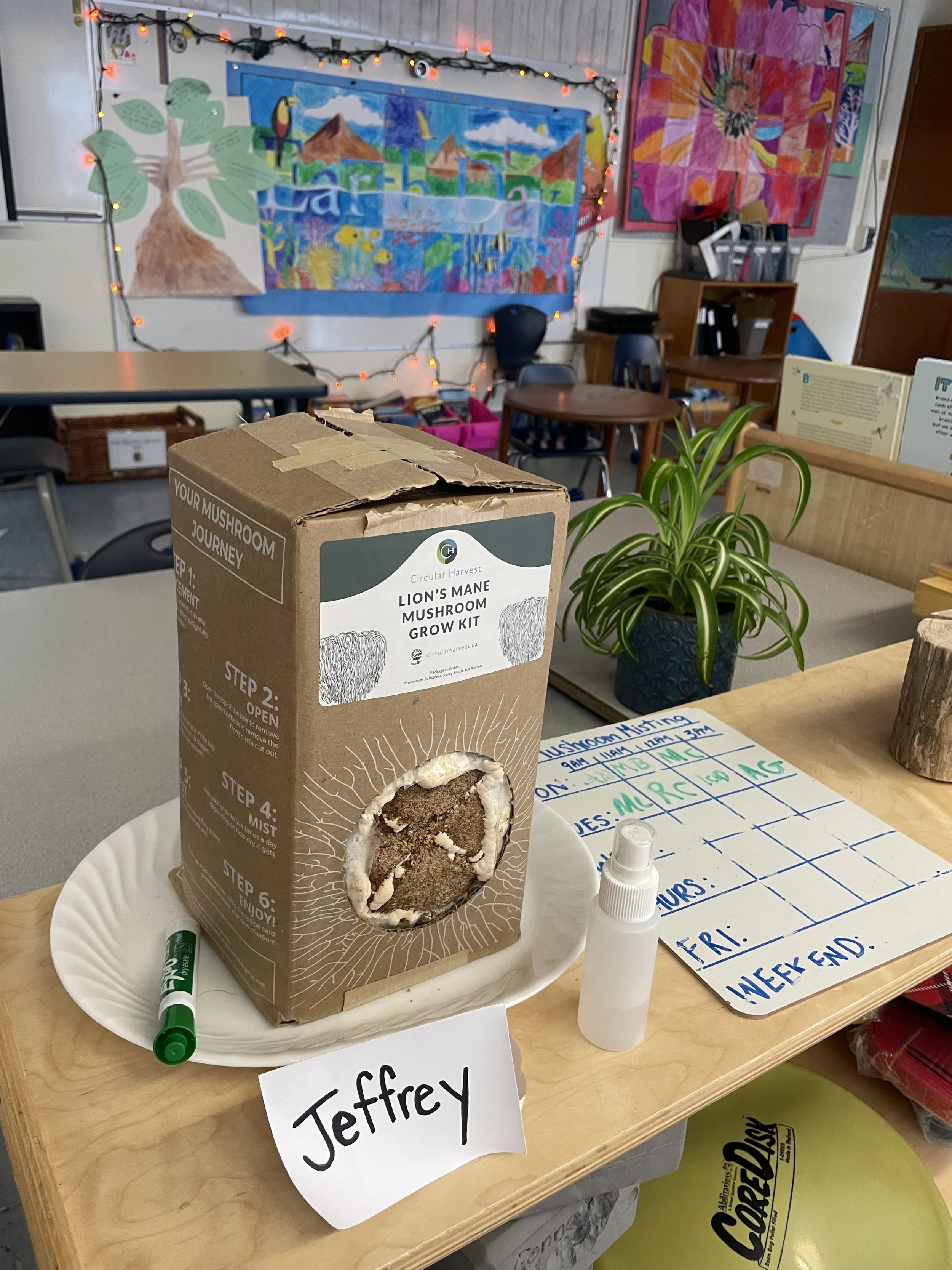 Pre-Order: Gourmet Mushroom Classroom Bundle 📚