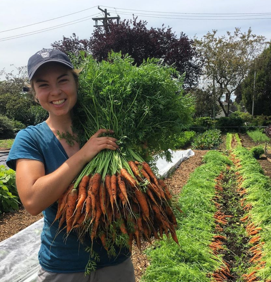 Jessica holding a large bundle of carrots in a garden