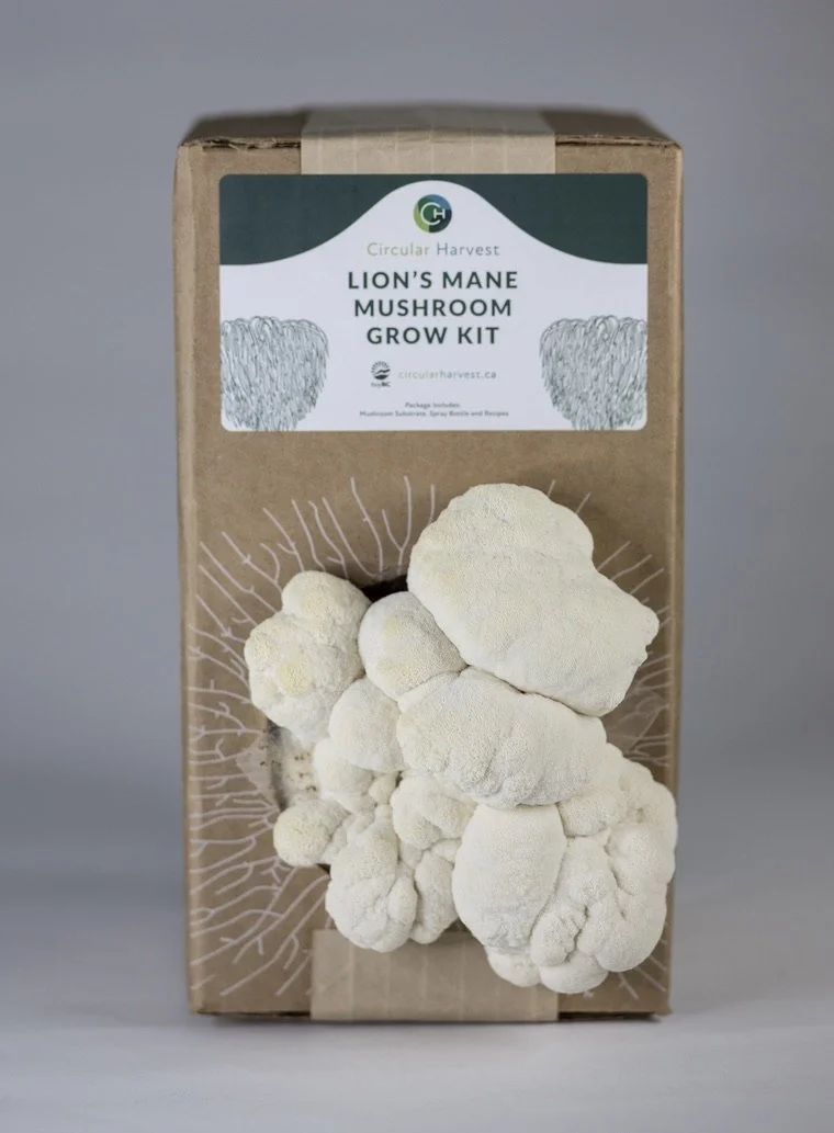 Gourmet Mushroom Bundle