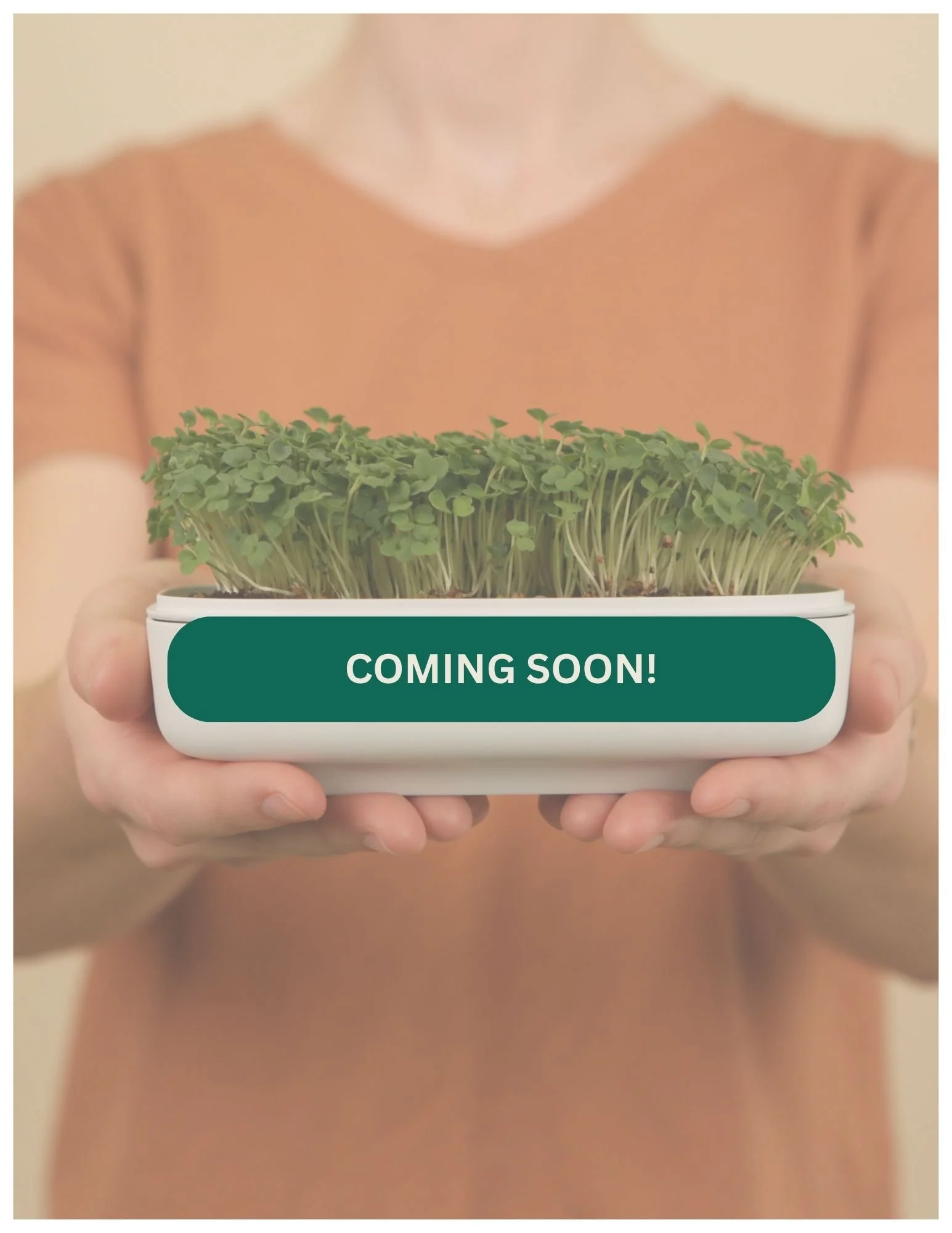 PRE-ORDER: The Microgreen Superfood Bundle