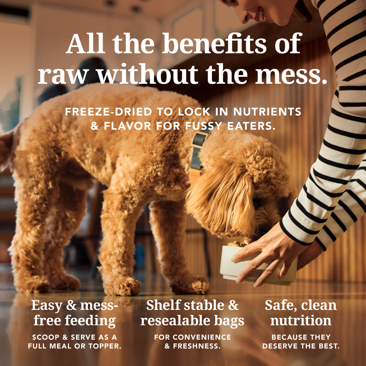K9-Chicken-FD-Amazon-cHcMqZ6A.png