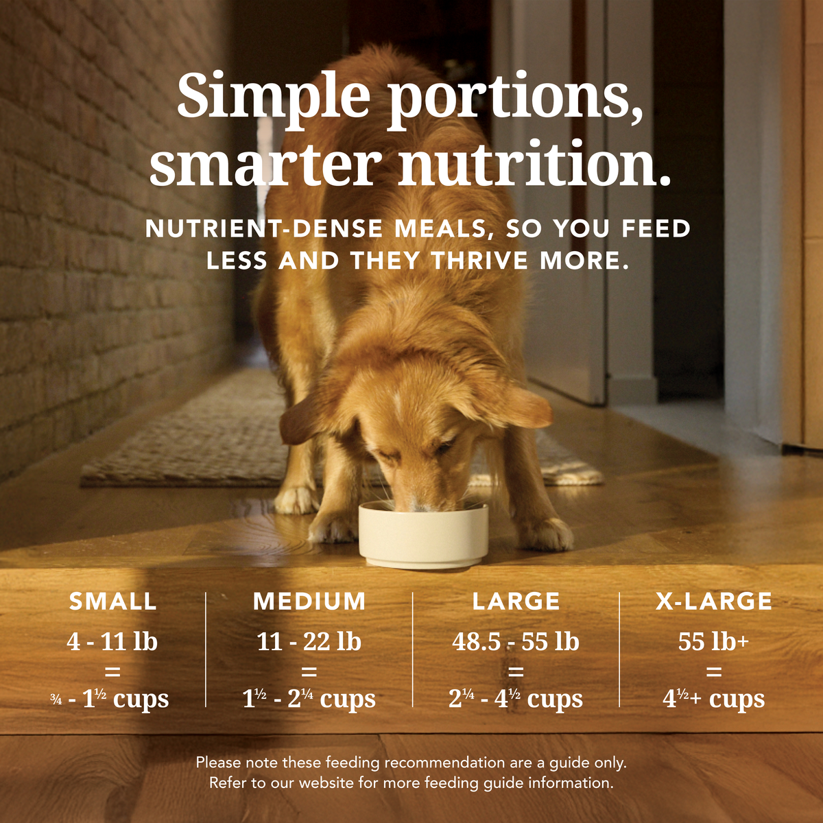 K9-L-KS-FD-Amazon-PD-KvxjqlH7.png