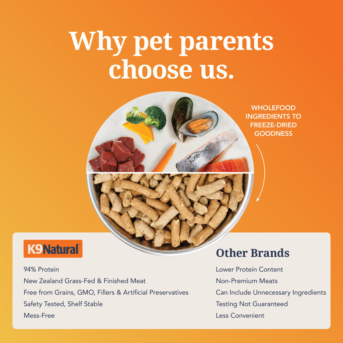 K9-L-KS-FD-Amazon-PD-eCy7OQ24.png