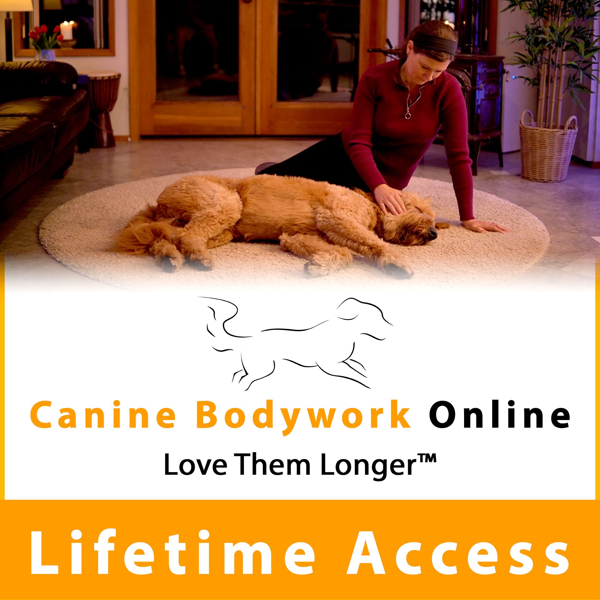 CBO Program Thumbnail (Lifetime Access) Square.jpg