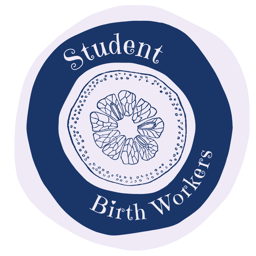 Student Birth Workers