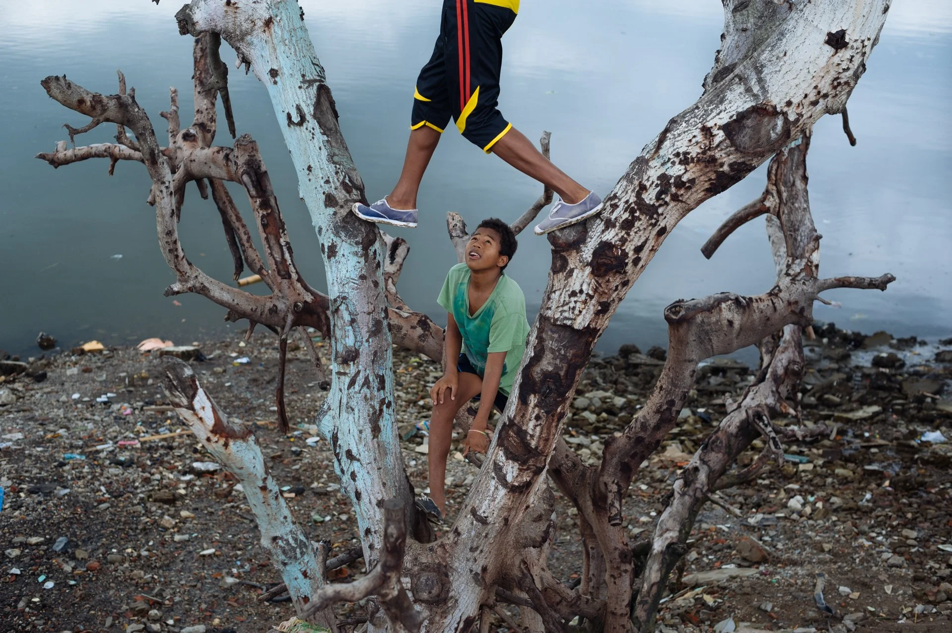 Part of the argument of the Technical Secretariat of irregular settlements for evicting the 40 families of the sector was that their houses were seated in a protected area, and that its existence there threatened the mangroves on the banks of the "Es