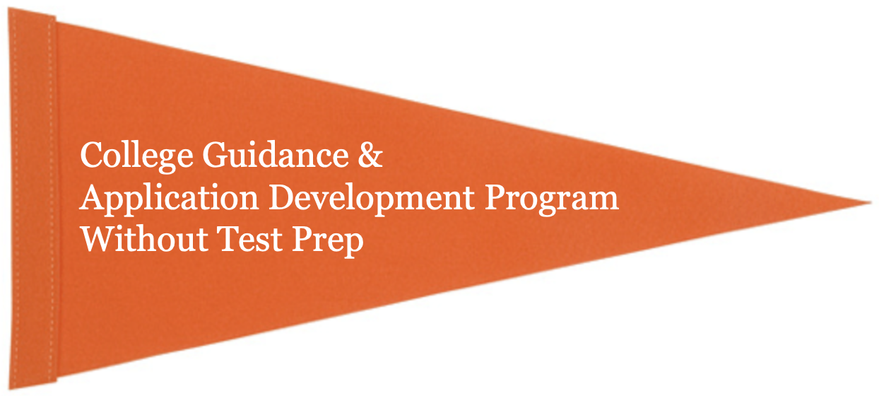 College Guidance and Application Development Program Without Test Prep