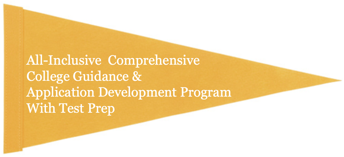 All-Inclusive - Comprehensive College Guidance and Application Development Program with Test Prep