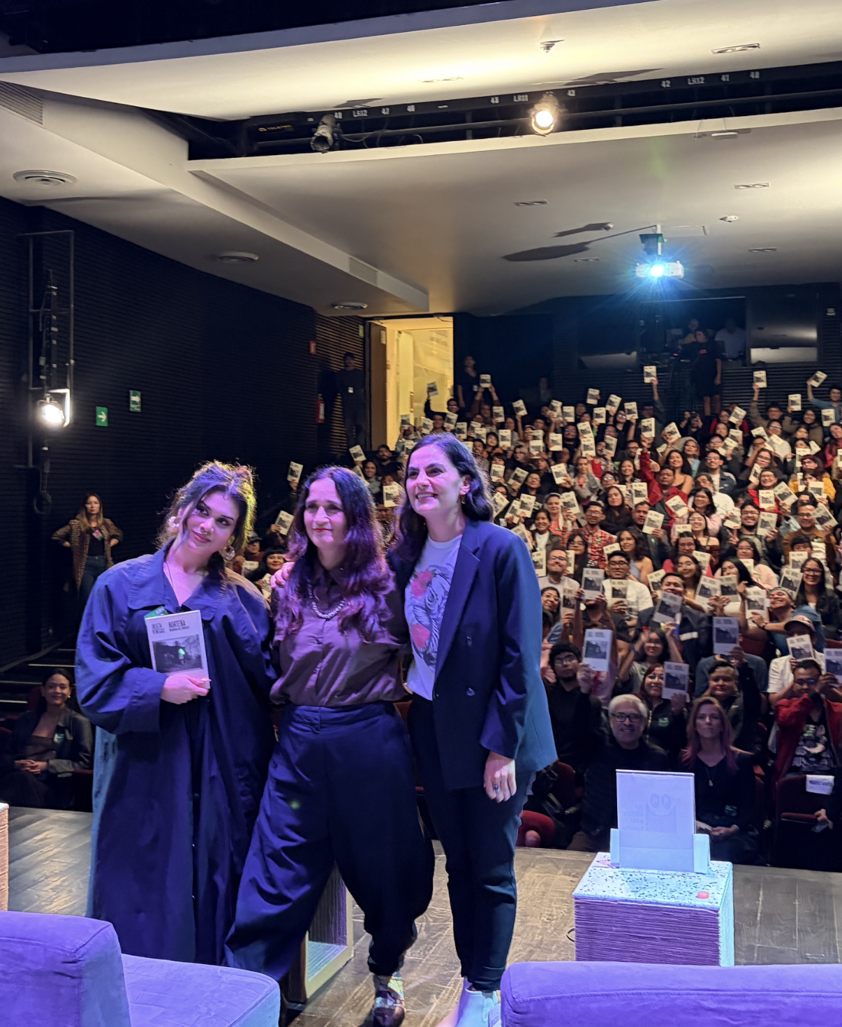 Norteña, Julieta Venegas