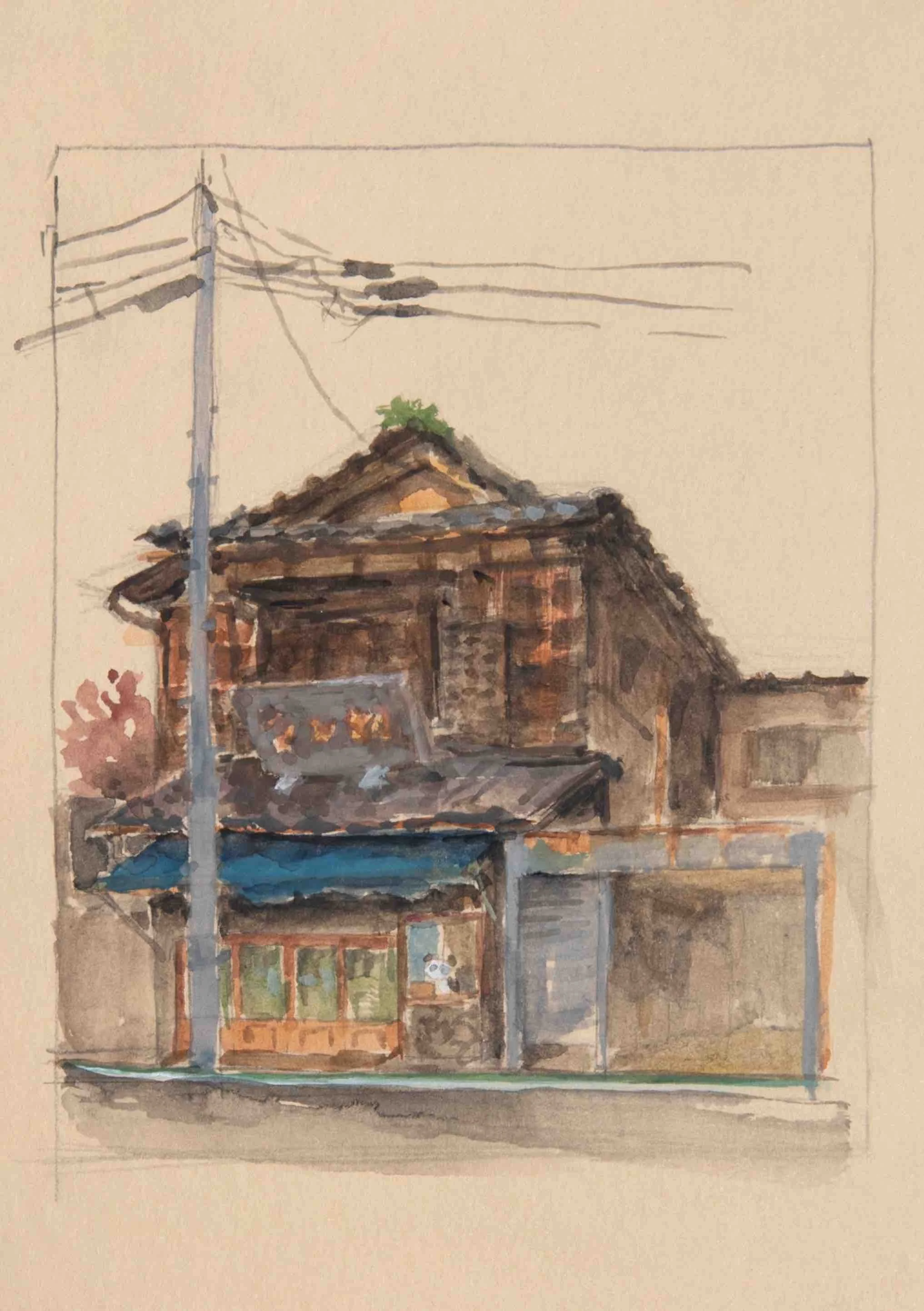 Building with Panda in Window (no. 17)