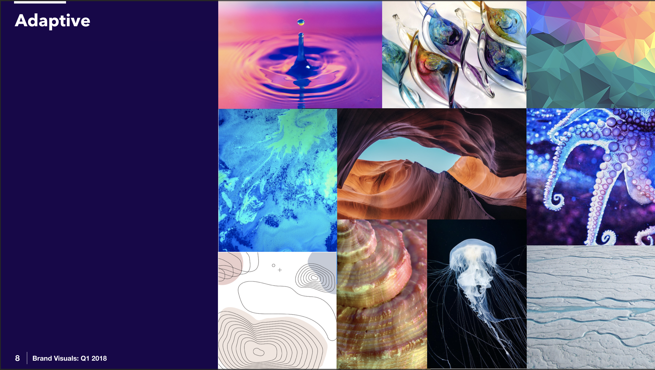 A collage of colorful abstract images including water droplets, glass sculptures, geometric patterns, ocean waves, a canyon, and various marine life such as a jellyfish and an octopus.