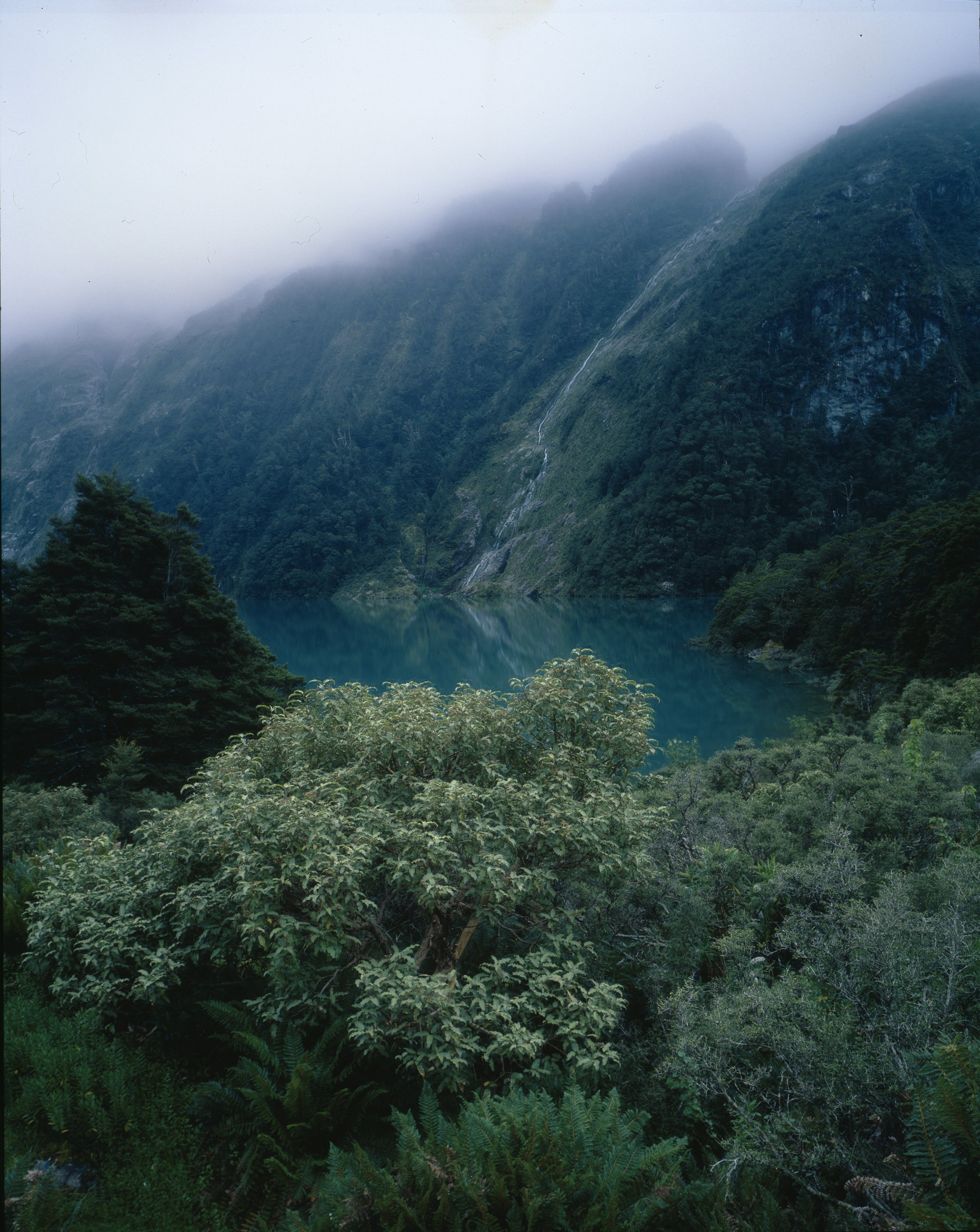 nankin_6_Lake Marion.jpeg