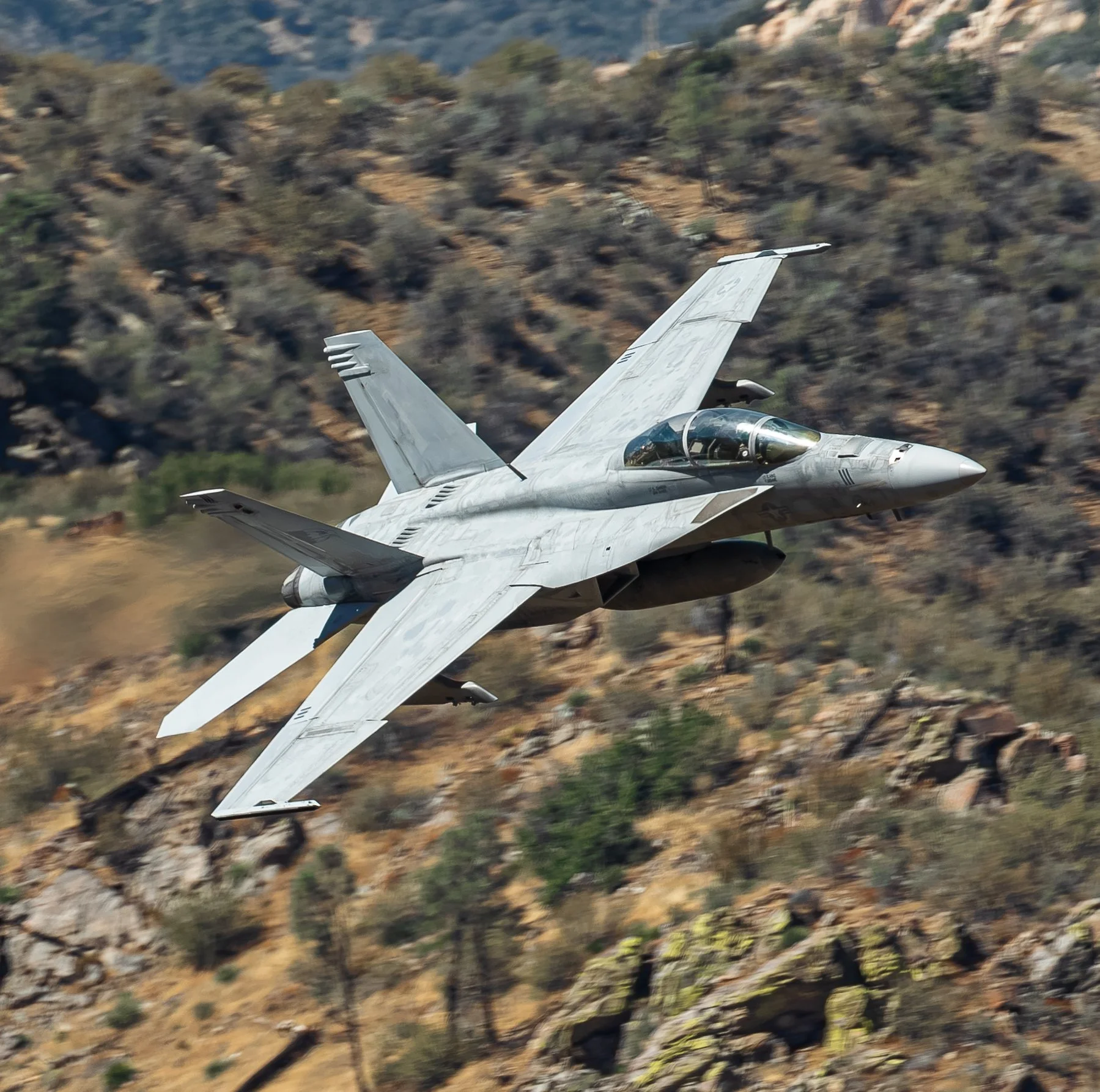 3O9A9588-Enhanced-NR.jpg