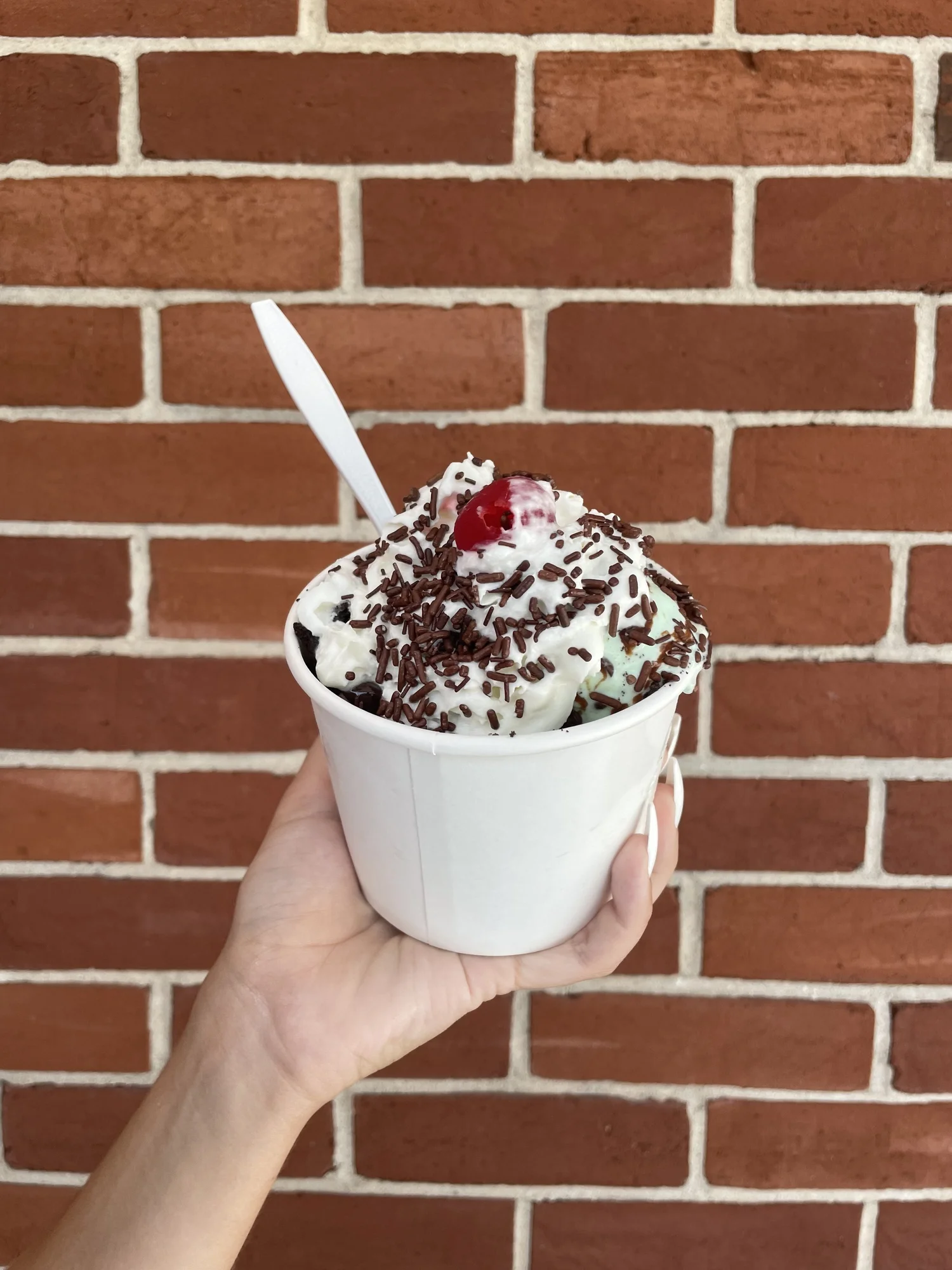 Ice Cream — Twist Pretzels & Ice Cream