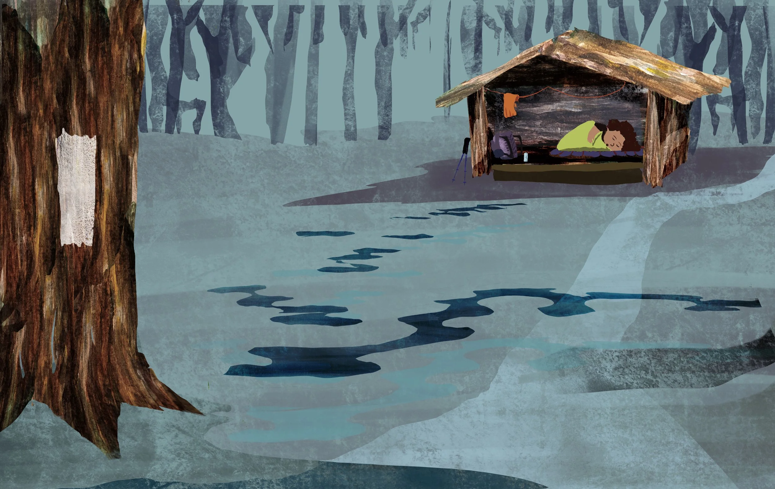 Can You Read Nature Spread - Shelter