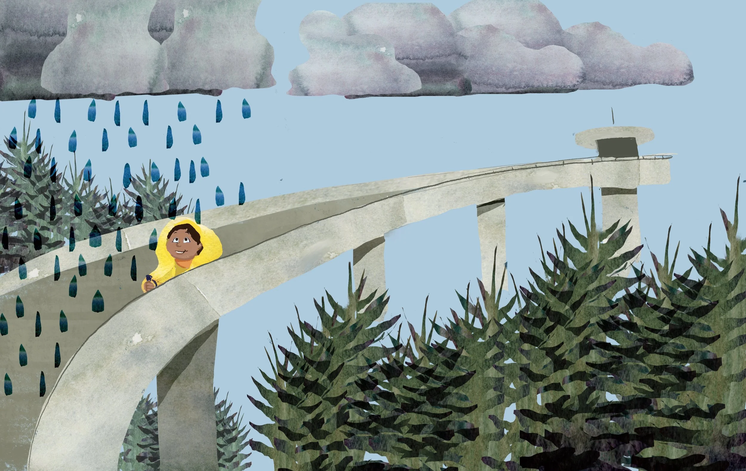 Can You Read Nature Spread - Kuwohi