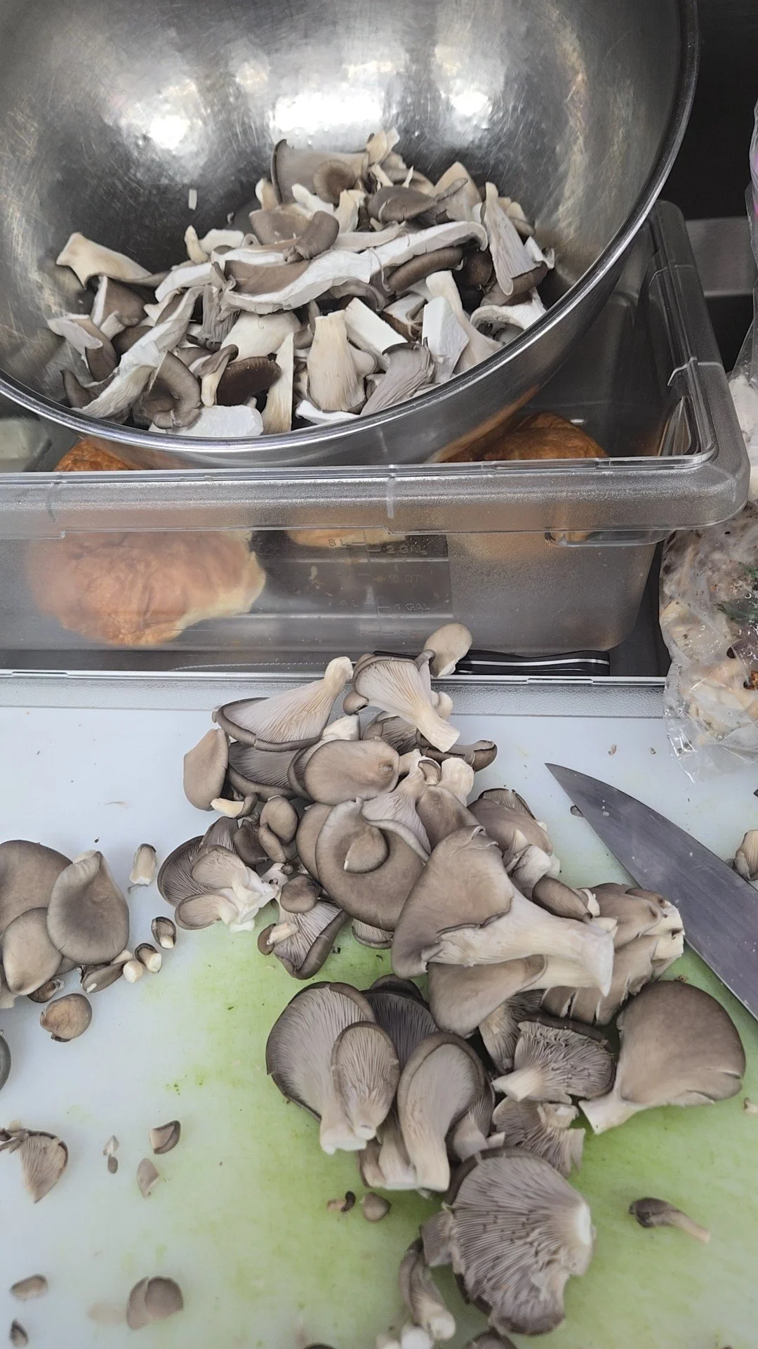 Love getting to use these Catawba Mushroom Partners mushrooms daily! Ill be using their mushrooms in the upcoming  Farm Feast 2025 in my dish! Make sure to check out the event page and secure your tickets to taste some small bites from several of hic