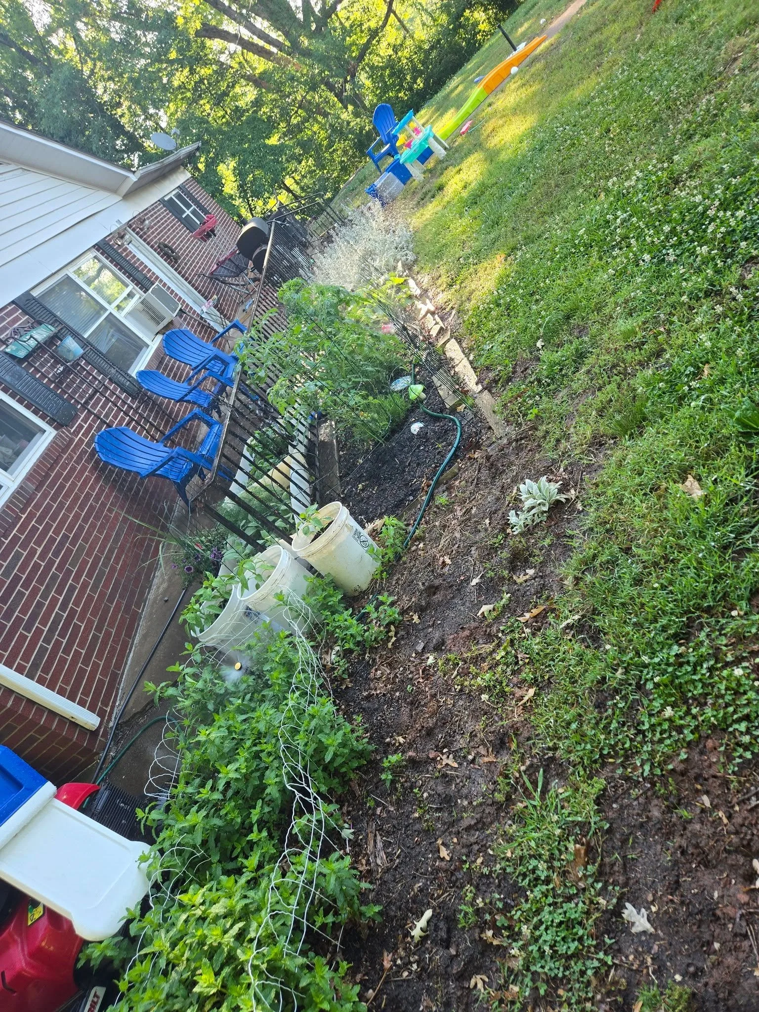 The garden do be gardening today

#chefbowzer