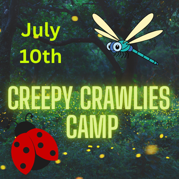 Creepy Crawlies Camp