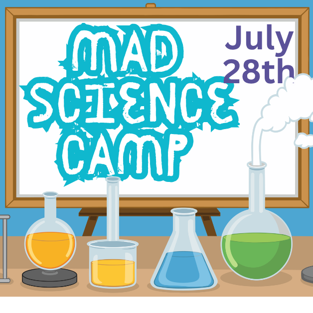 Mad Science Camp