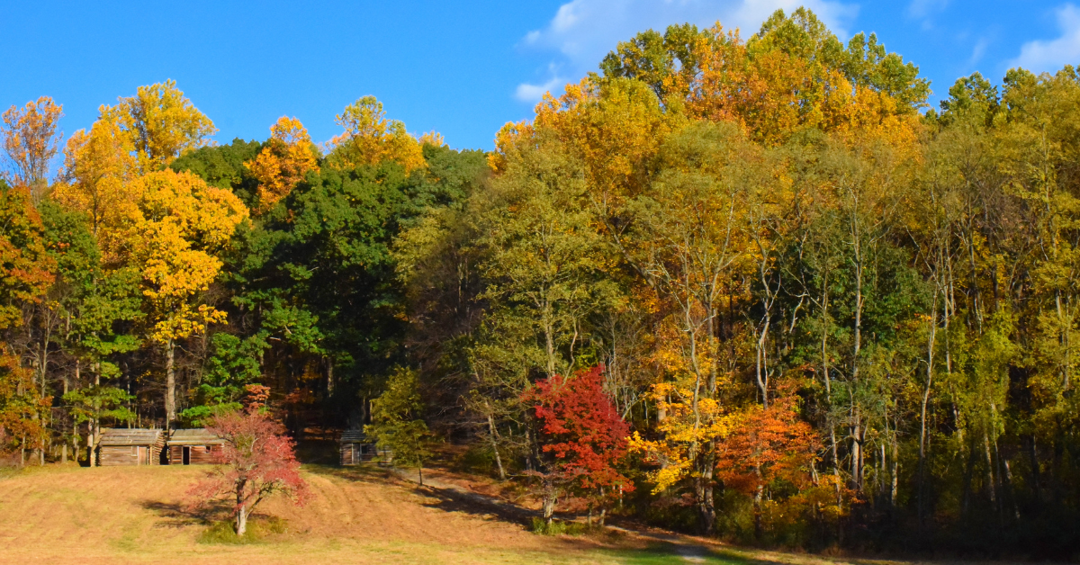 Jockey Hollow in Morristown, NJ during the fall