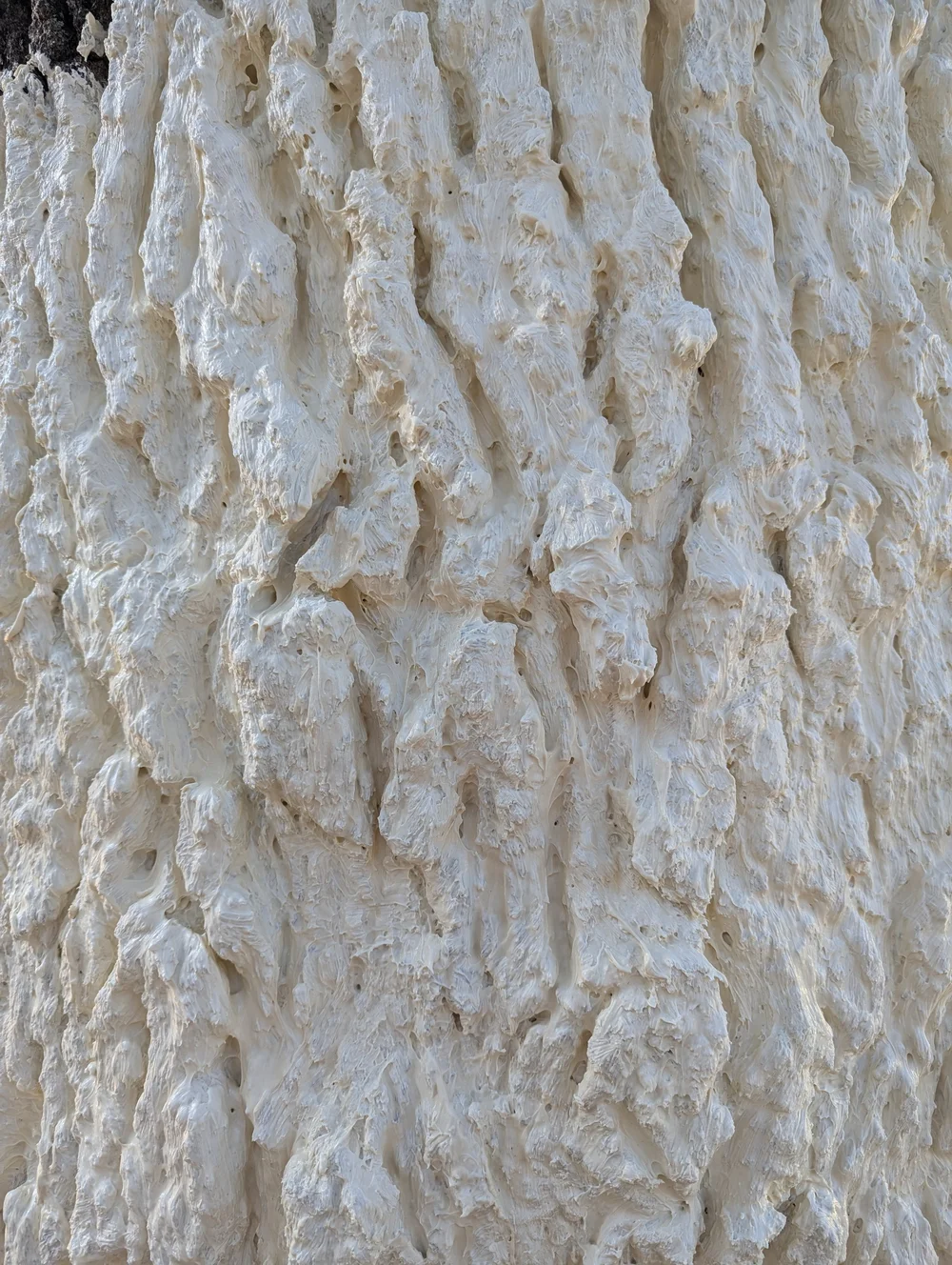 Oak hide molding latex.jpeg