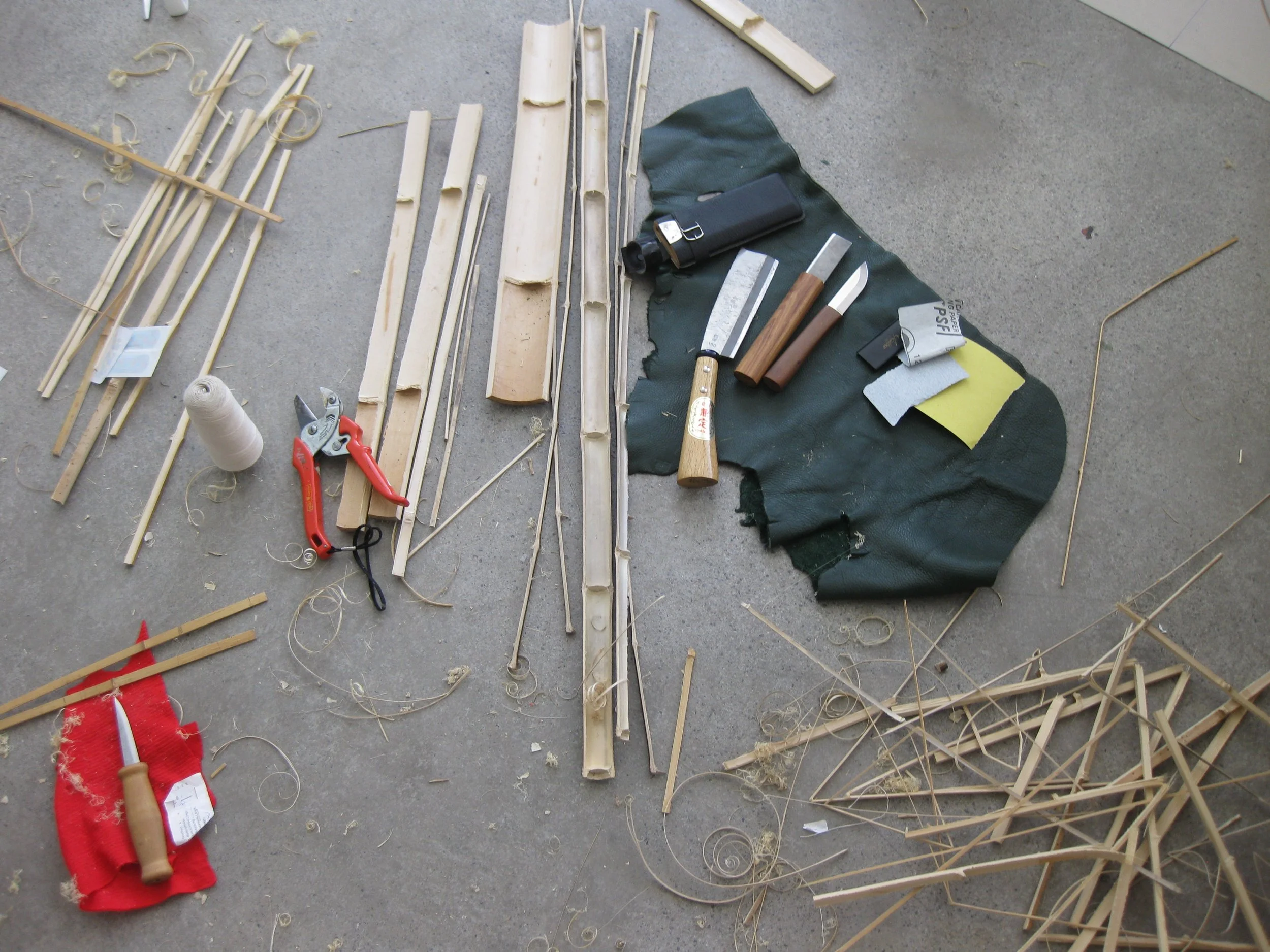 6_bamboo_fotoAnnaRubin.JPG