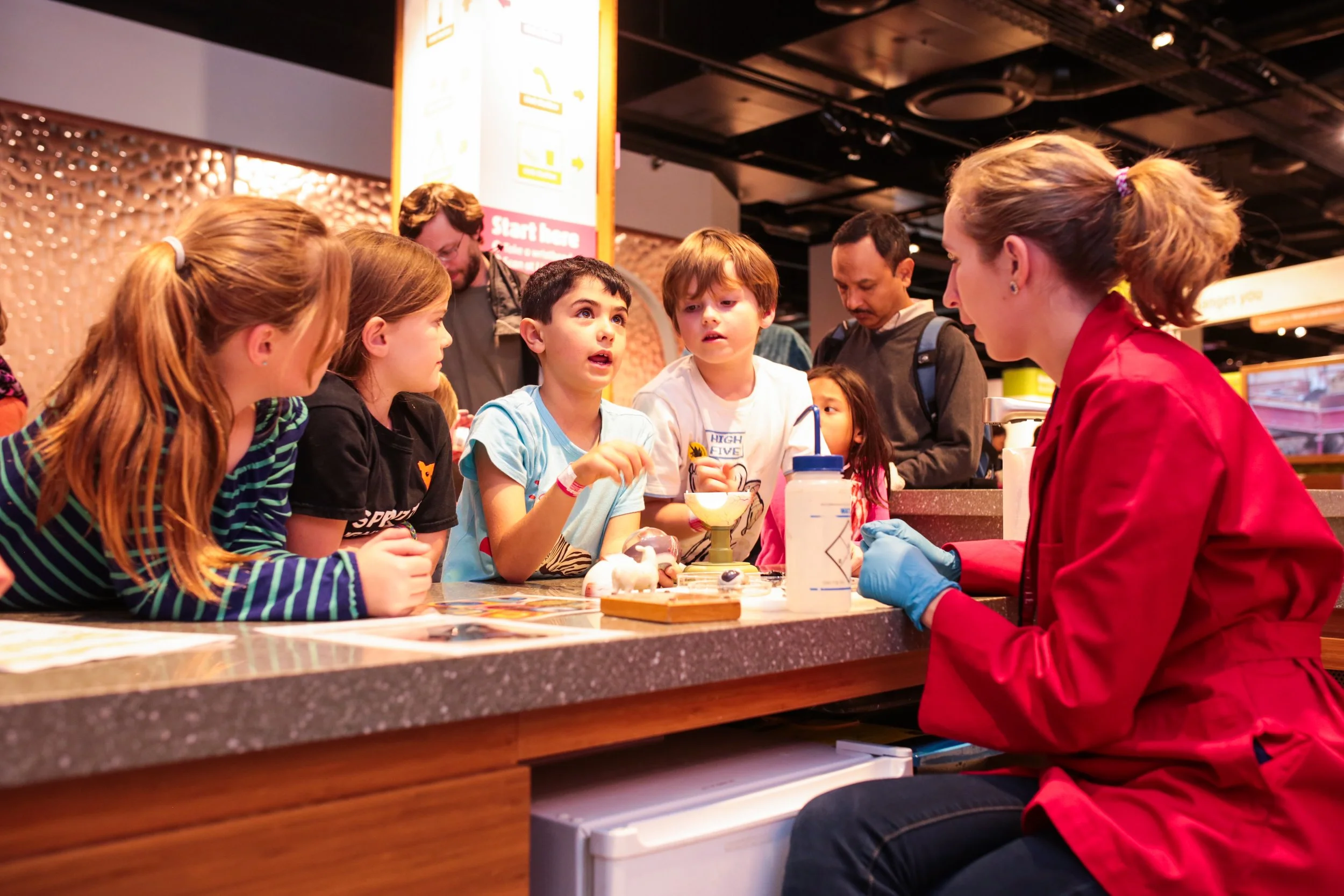 AI, but “Art Intelligence”