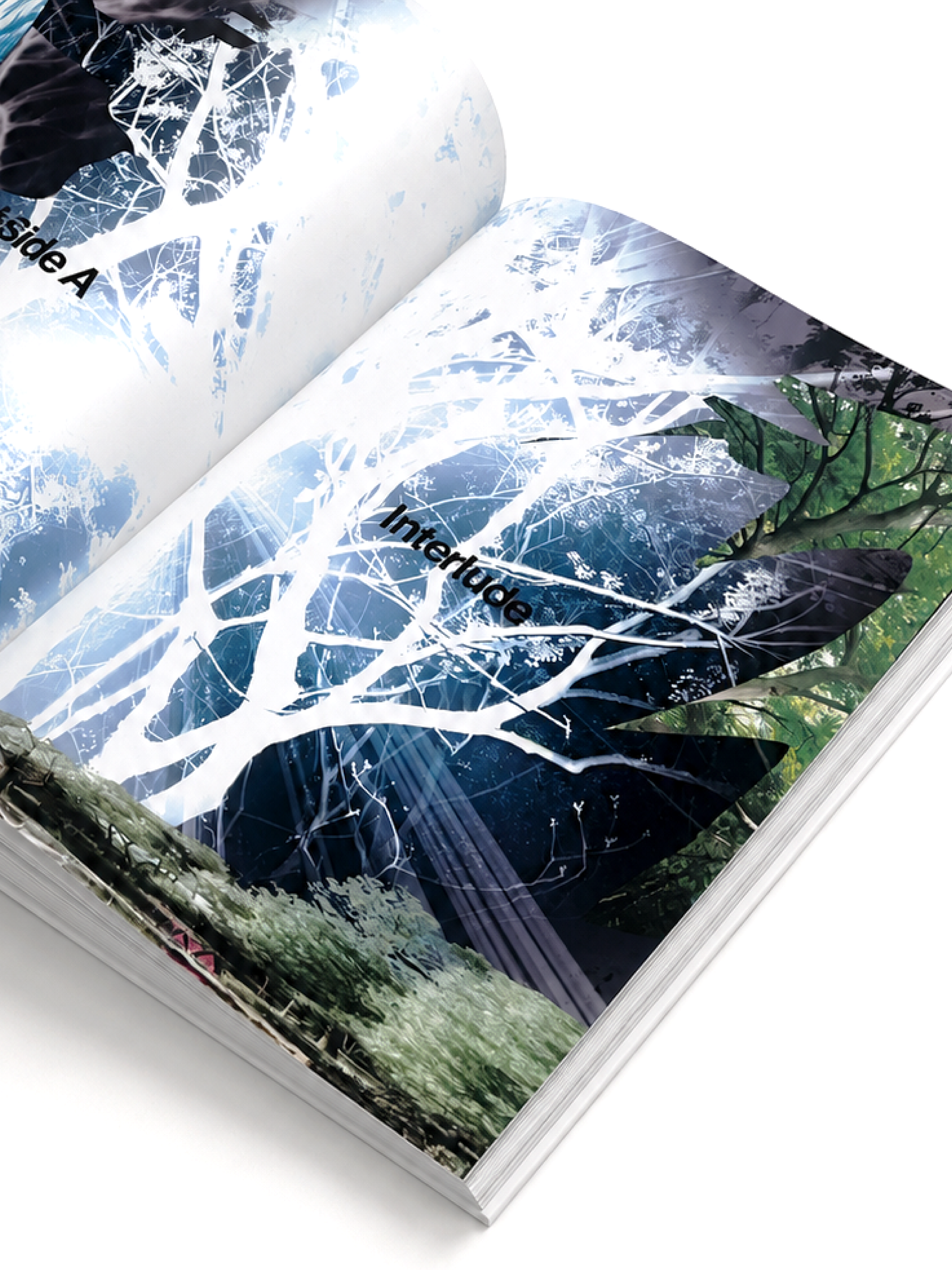 images5-4-08.png