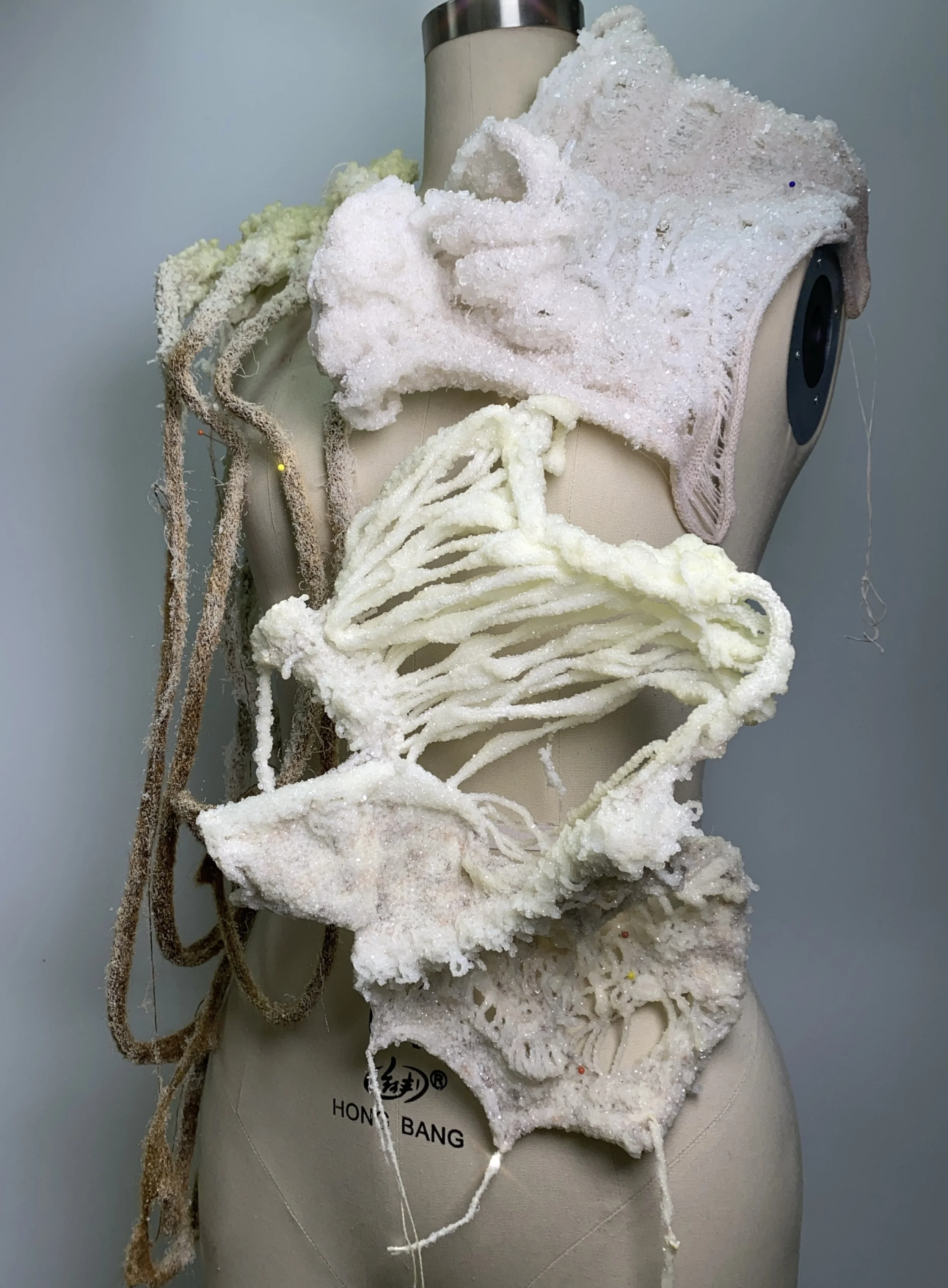  Freja Jiahui Ye,  Amor Fati, 2021.  Crystallisation experiments. Courtesy of Freja Jiahui Ye 