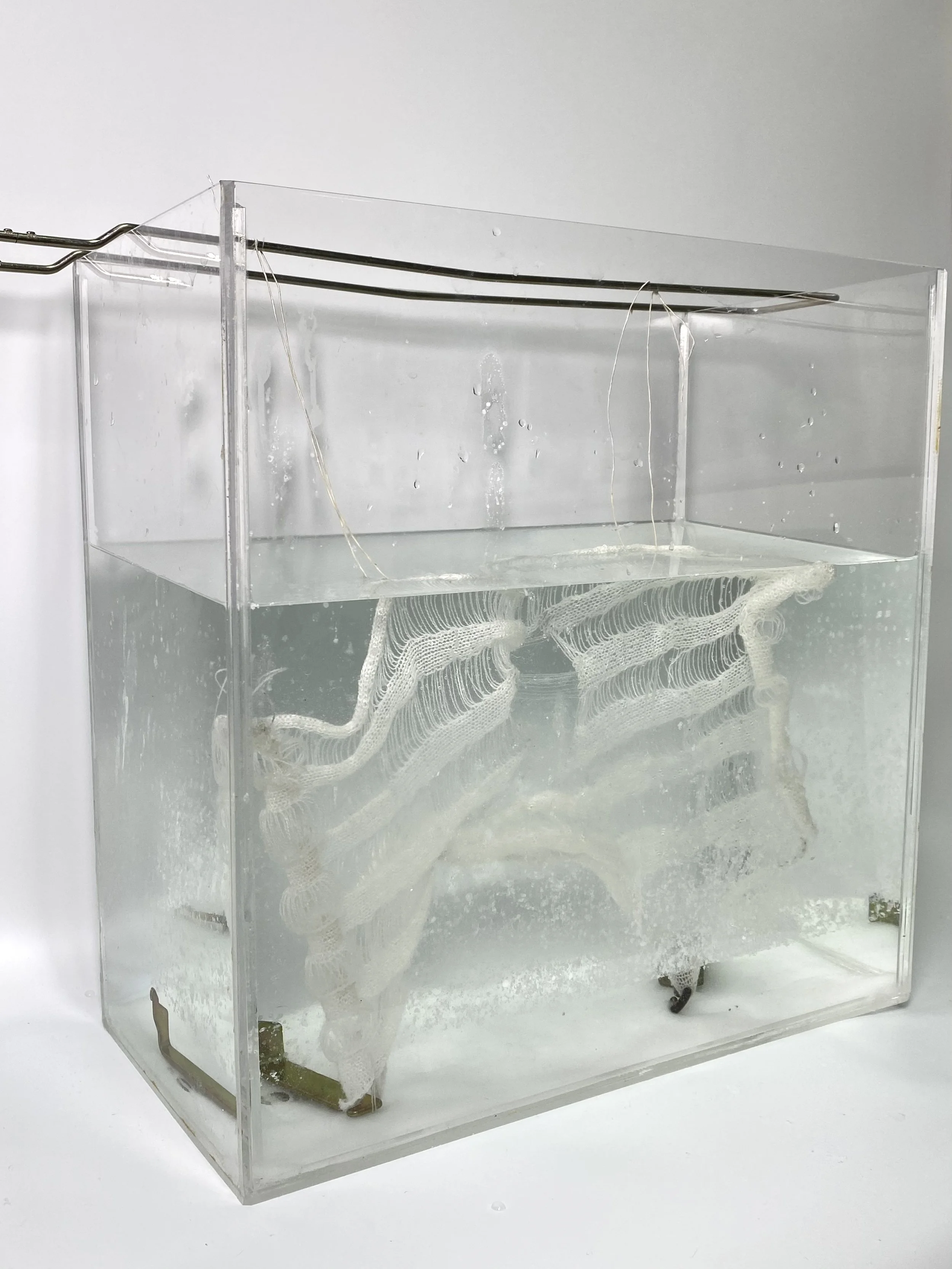  Freja Jiahui Ye,  Amor Fati, 2021.  Crystallisation experiments. Courtesy of Freja Jiahui Ye 
