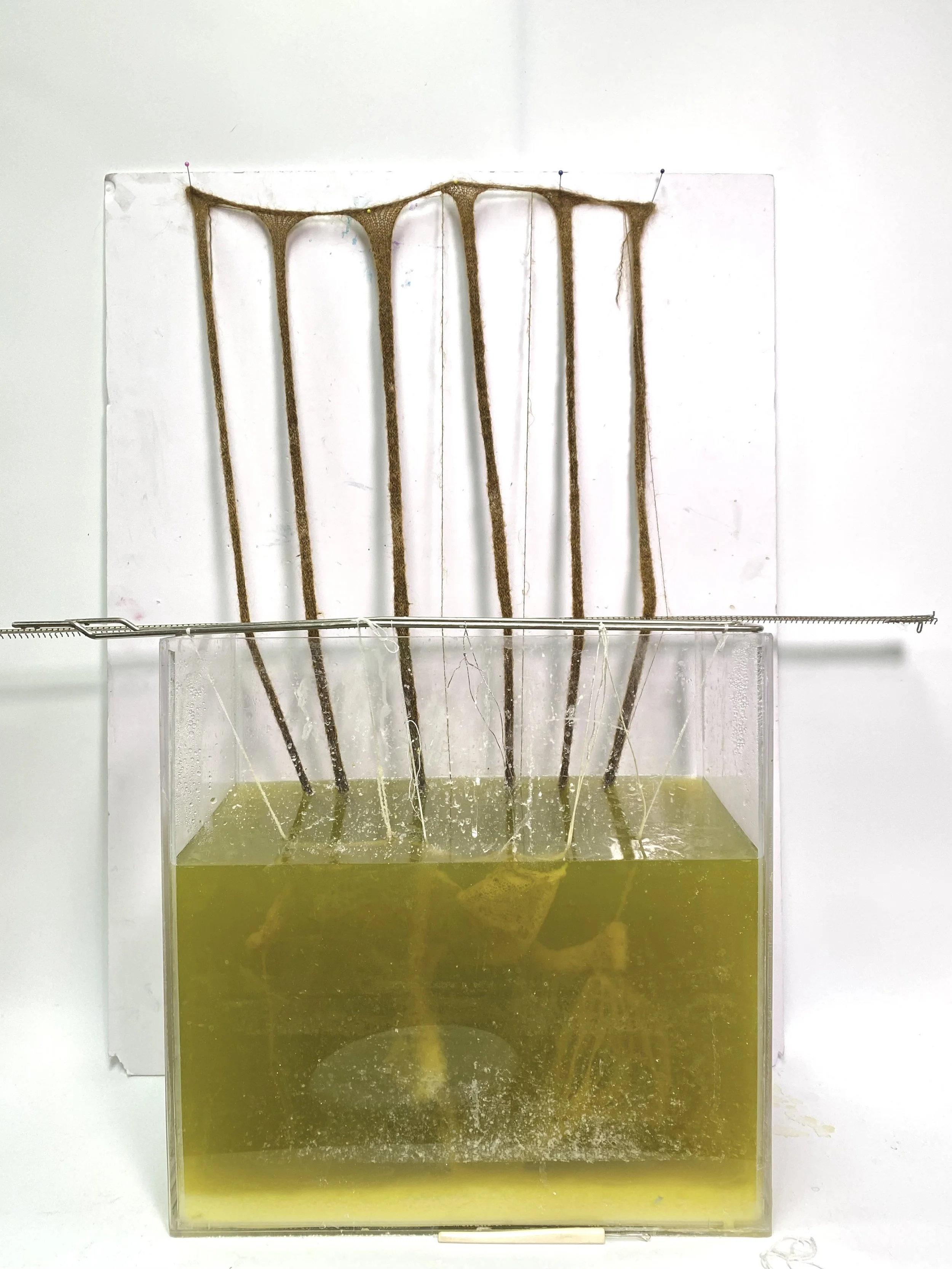  Freja Jiahui Ye,  Amor Fati, 2021.  Crystallisation experiments. Courtesy of Freja Jiahui Ye 