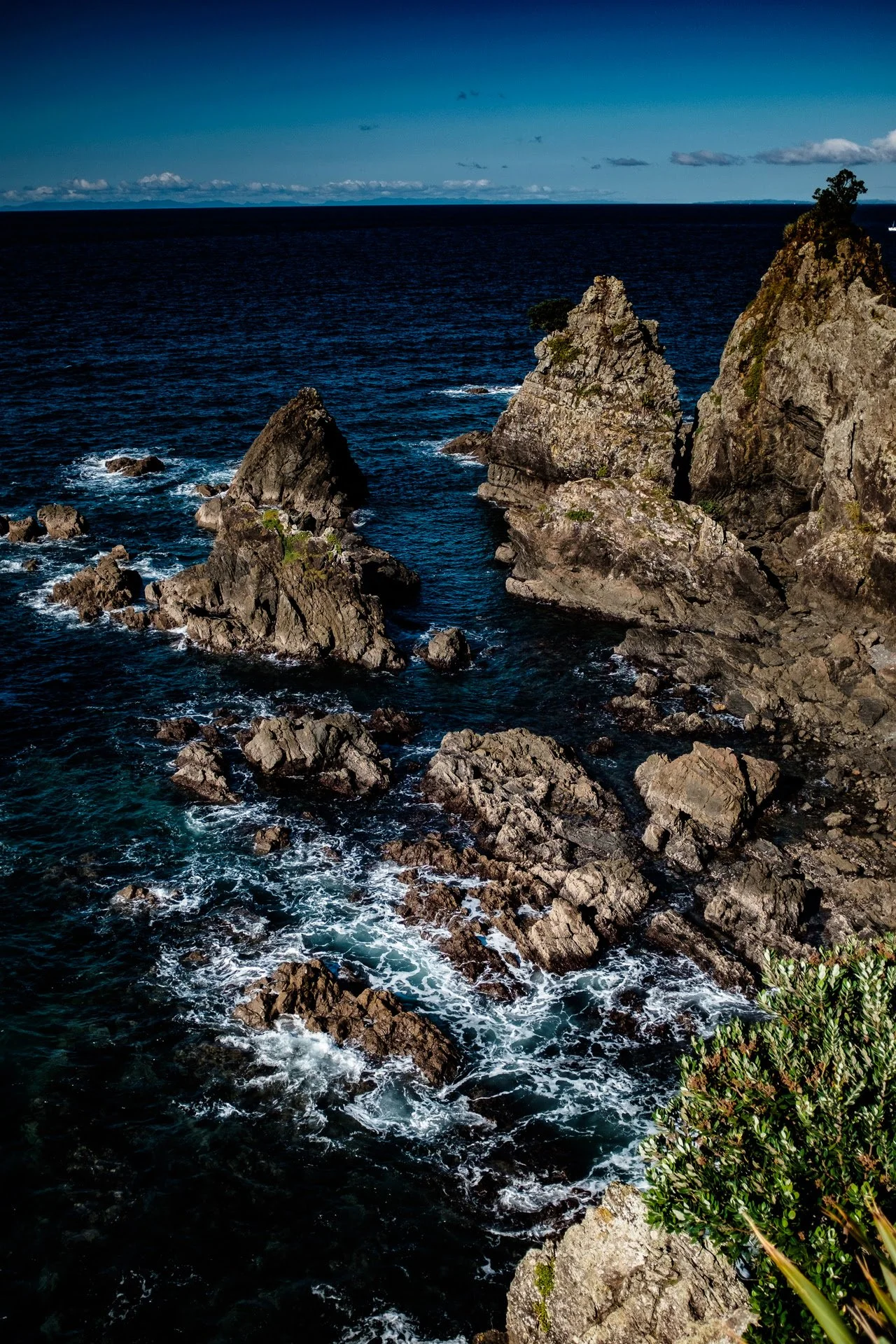 DSCF3978.jpg