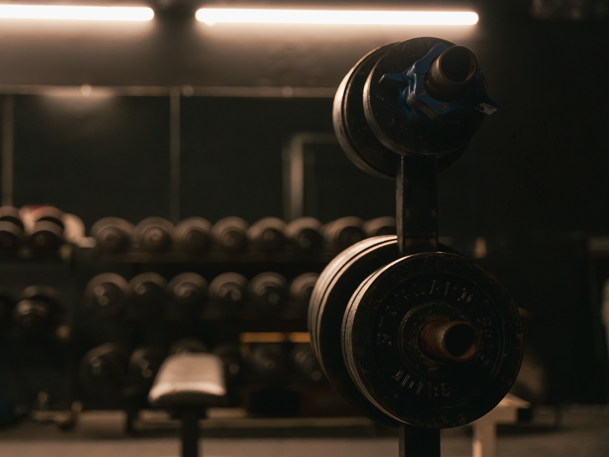 Weight plates organized beside the dumbbell rack