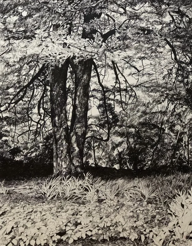 Jo Reitze, Two Trees Cloudhill