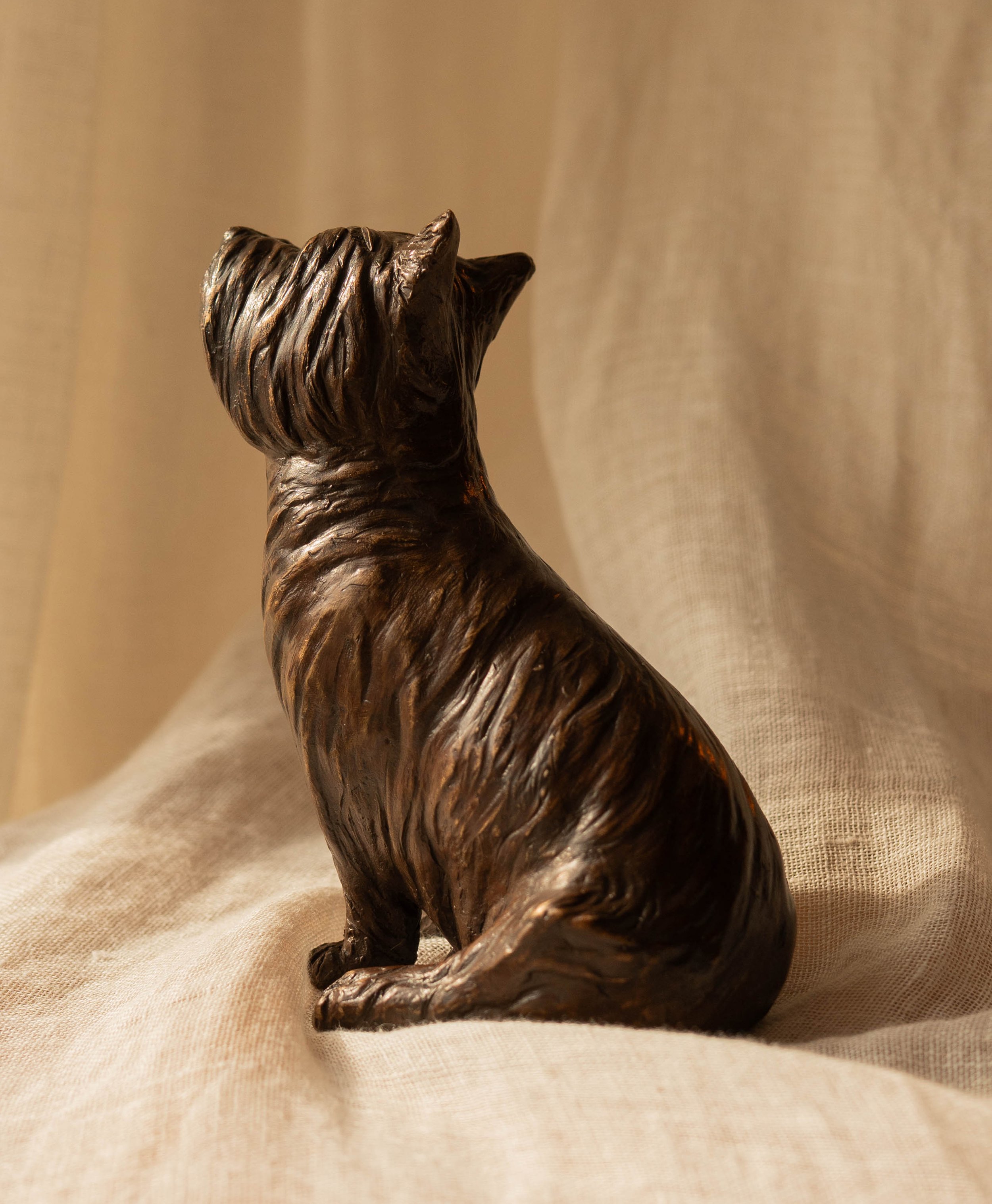 Phoebe Parsons, Pip