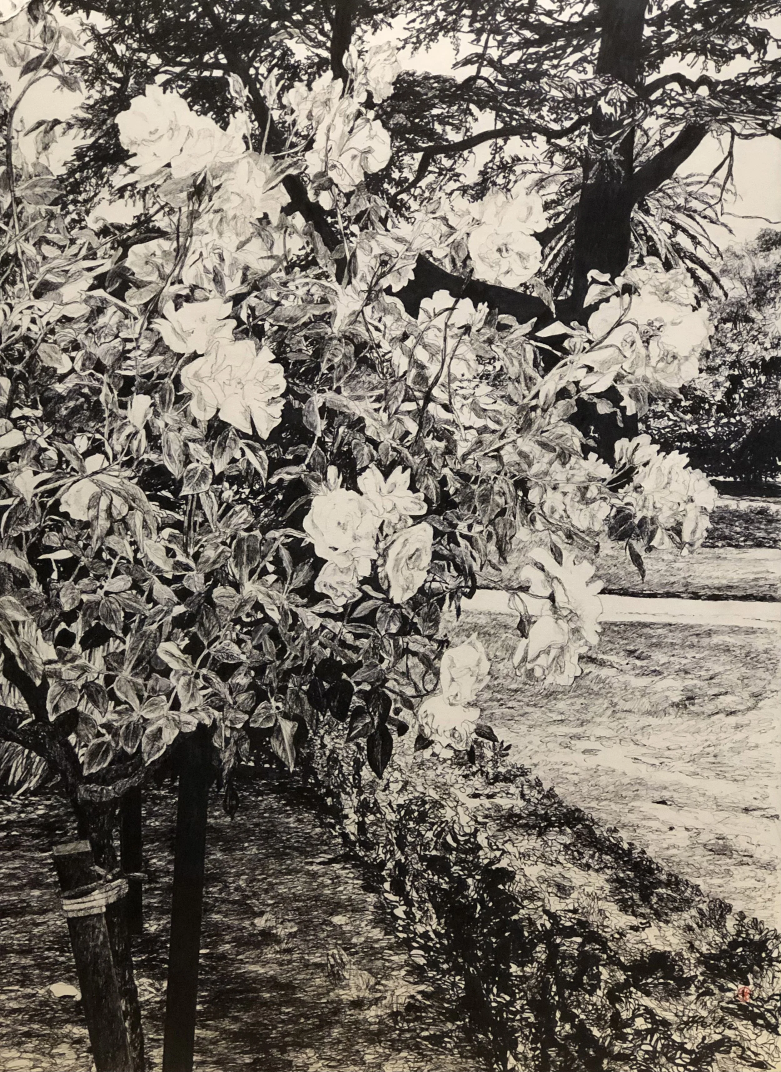 Jo Reitze, In Kamesburgh Gardens