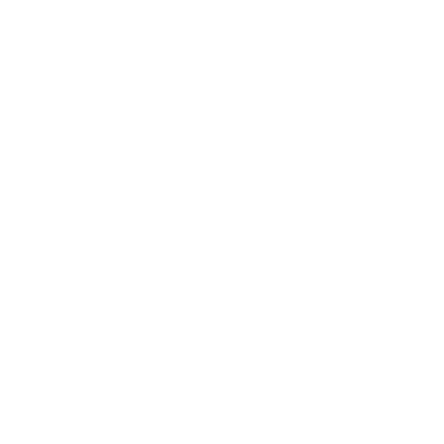Logo-white_Fenix Flight2.png