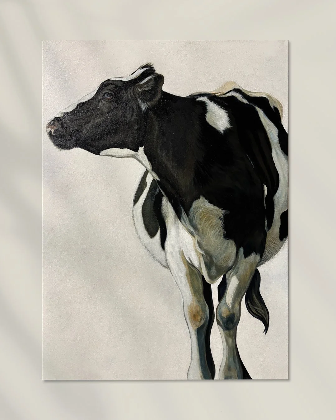 Afternoons with Black and White Cow