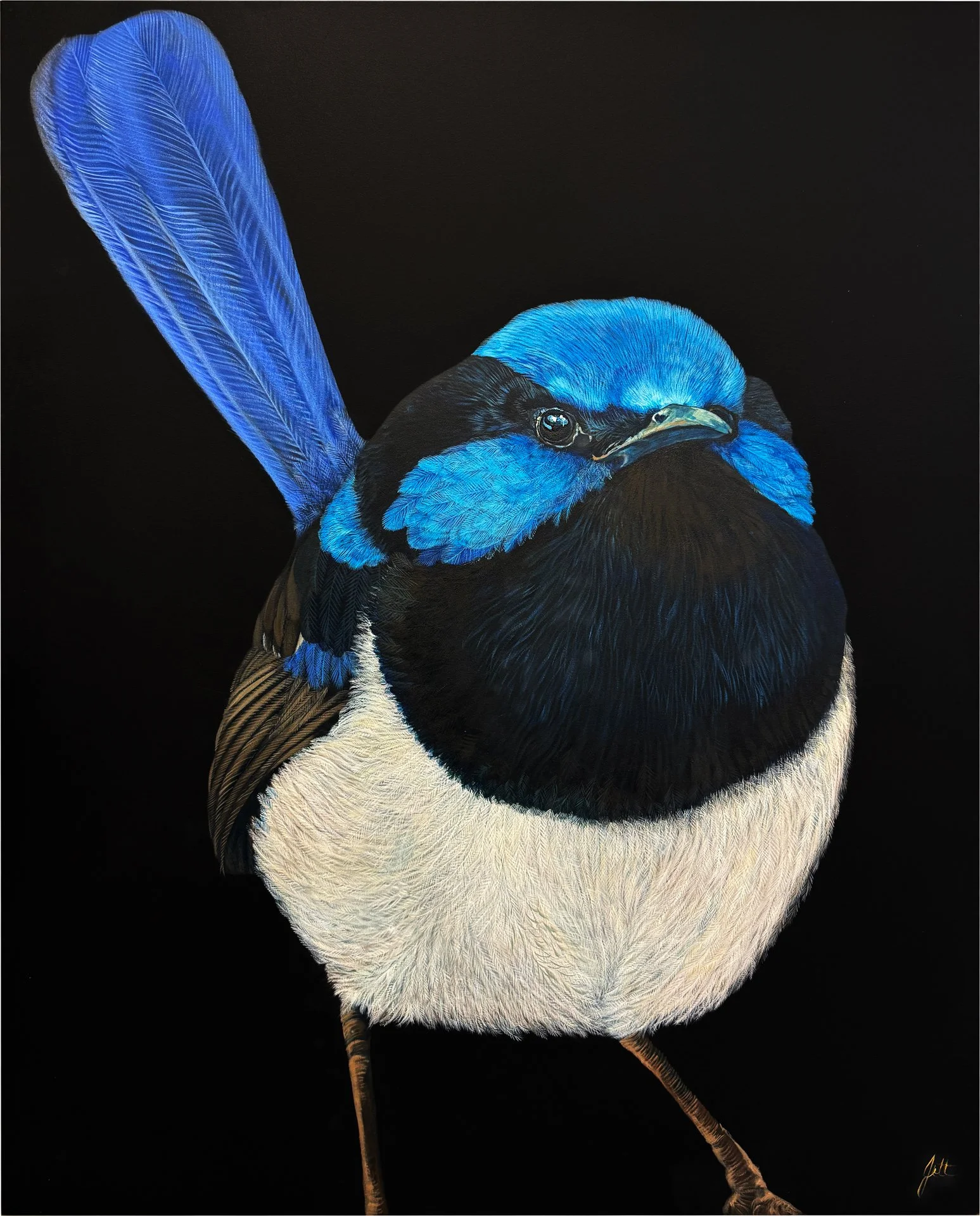 IMG_7420_Wren_Retouched.jpg