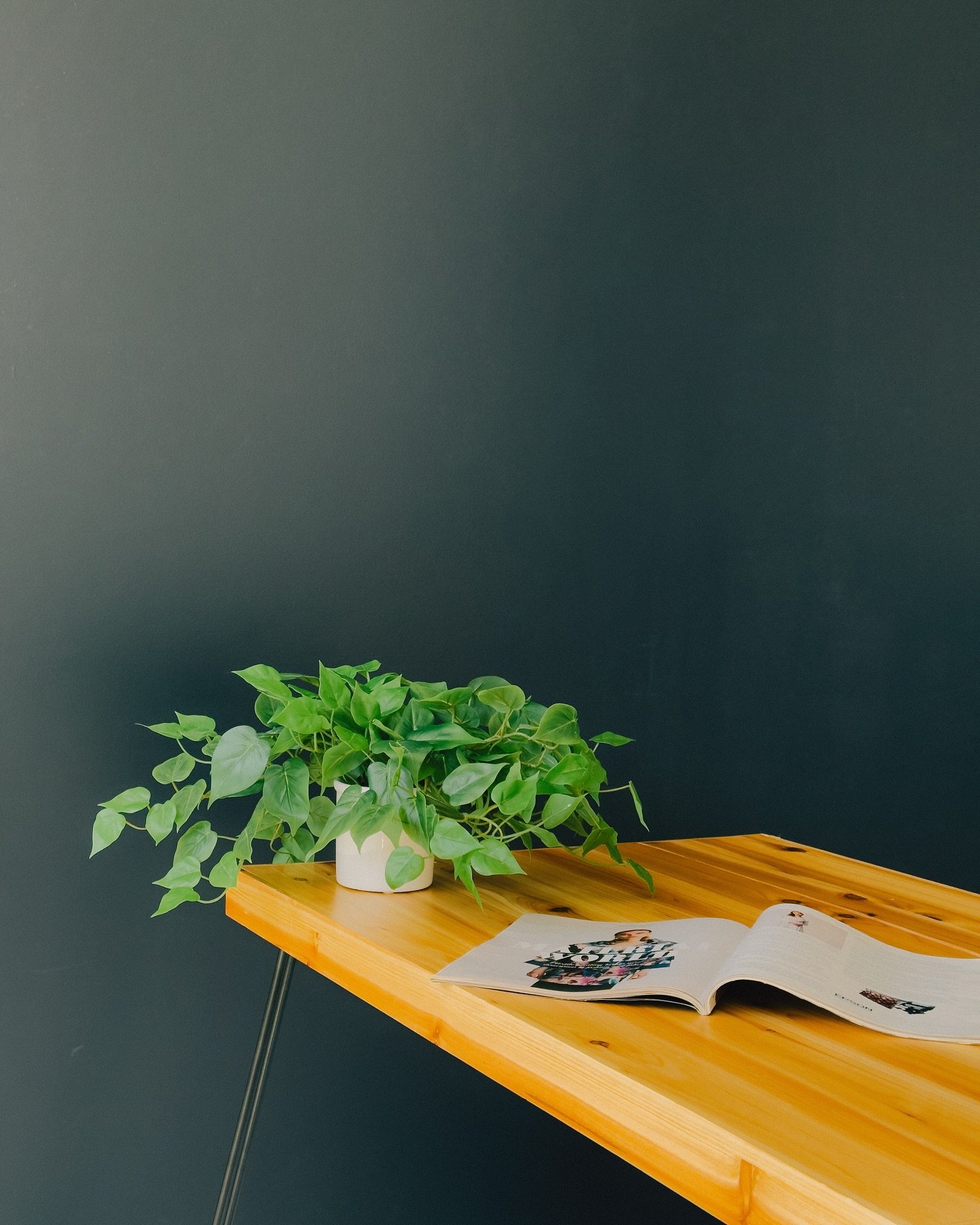 Peaceful work space. 🍃 Creating a contrasting setup with the black side of our moving wall. We love how it plays with the warmth of this desk table we have in the studio. Seriously could live in these tones all day!! 

[Northern Colorado Photo Studi