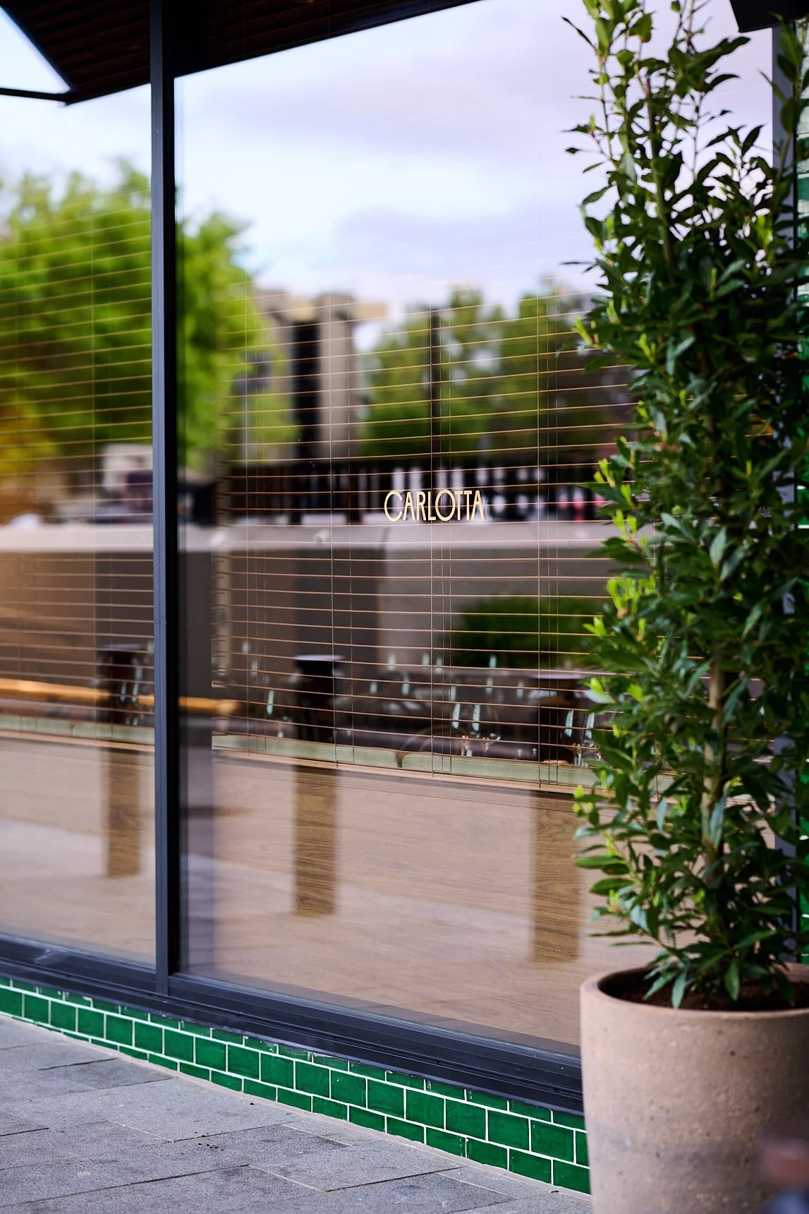 Exterior_CARLOTTA_pewpewstudio_241015_ 42_LR.jpg