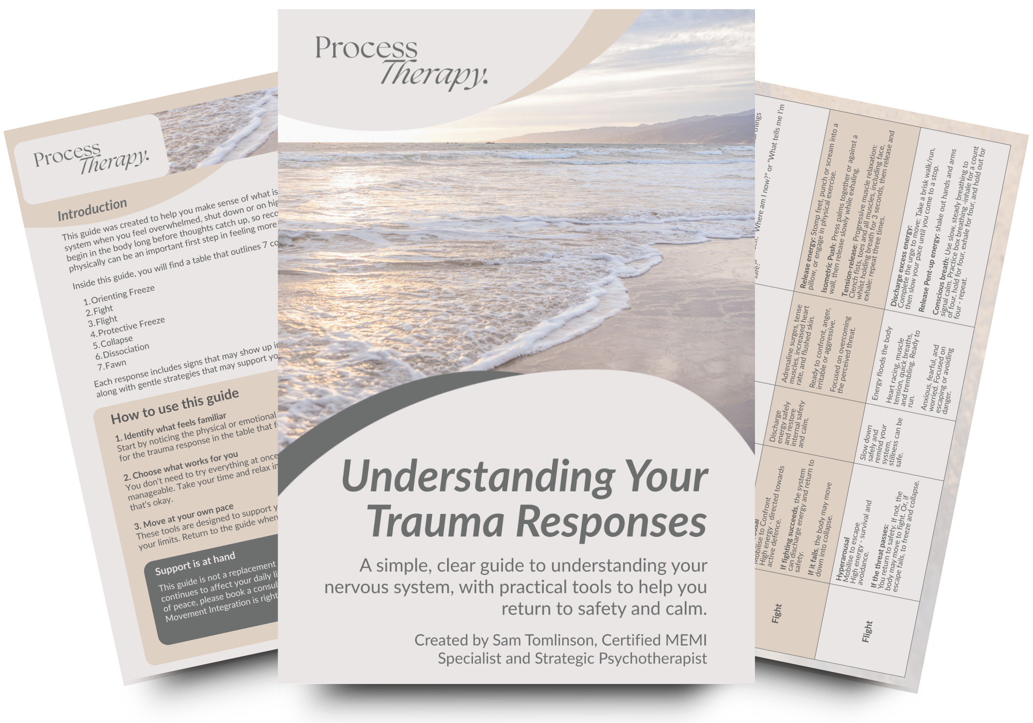 Understanding Your Trauma Responses | Process Therapy