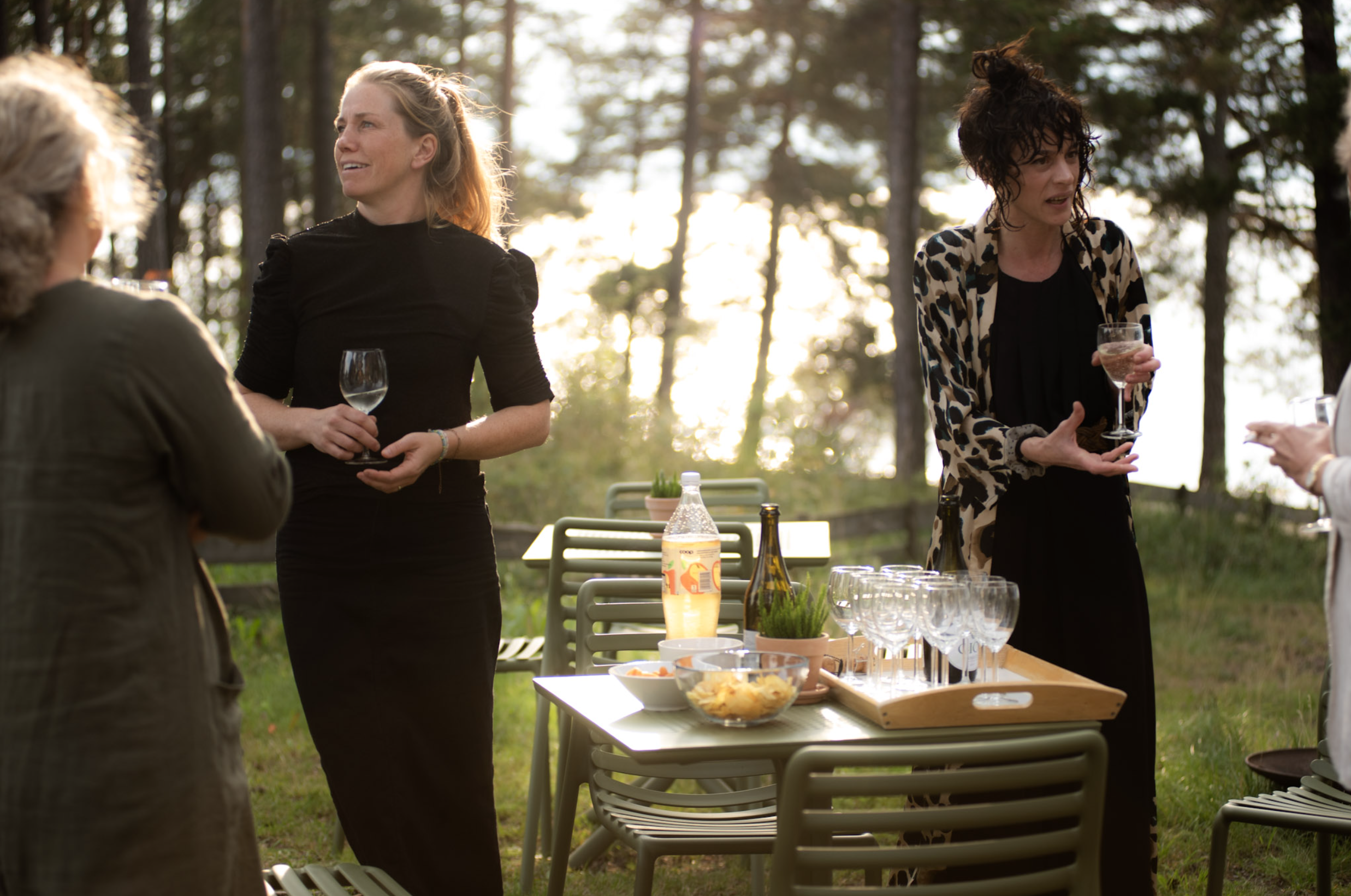 Skjermbilde 2024-09-16 kl. 17.20.54.png